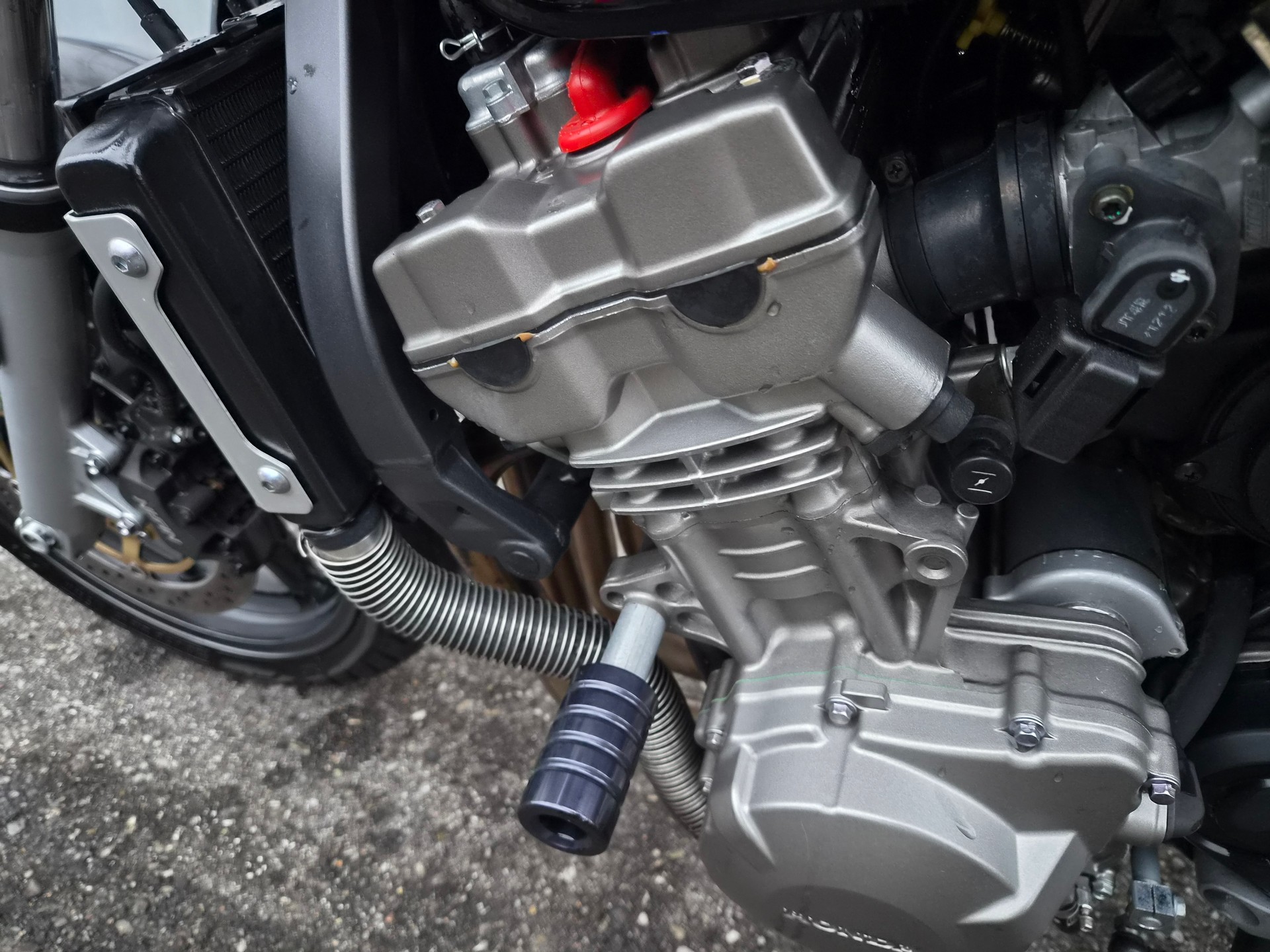 HONDA CB 900 F HORNET-image-10