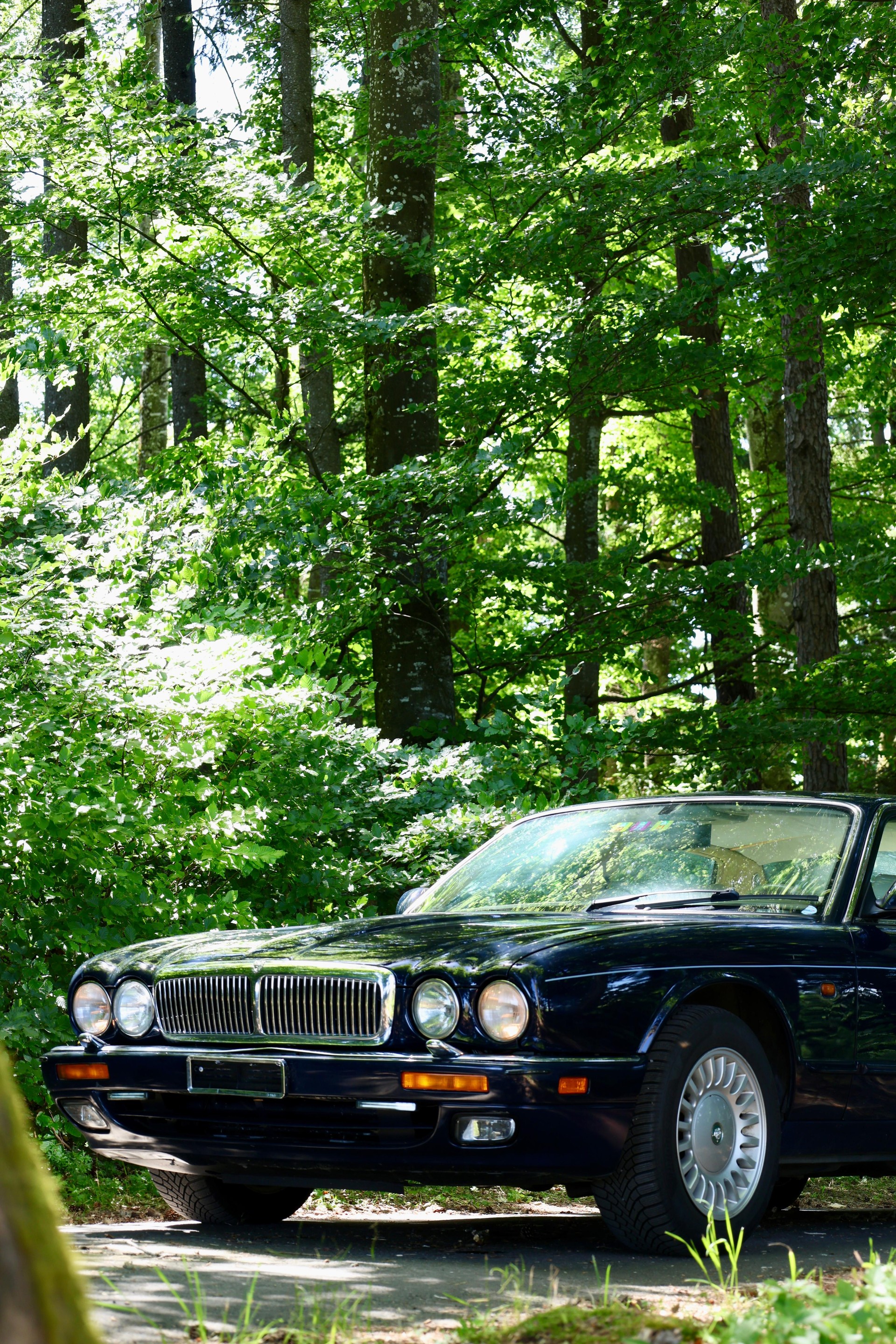 JAGUAR XJ 3.2 Executive-image-11