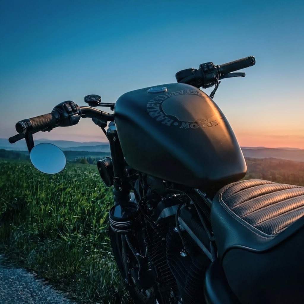 HARLEY-DAVIDSON XL 883 N Sportster Iron-image-4