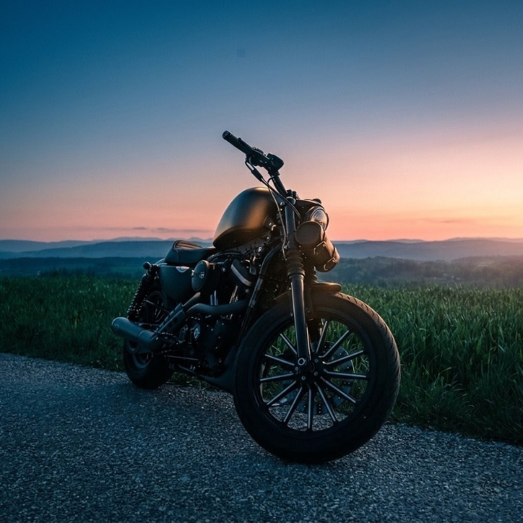 HARLEY-DAVIDSON XL 883 N Sportster Iron-image-2