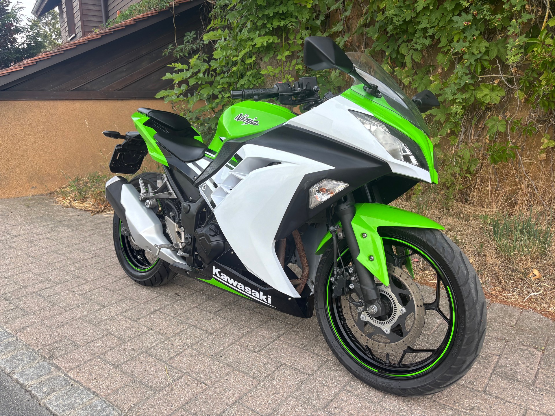 KAWASAKI Ninja 300 ABS-image-4