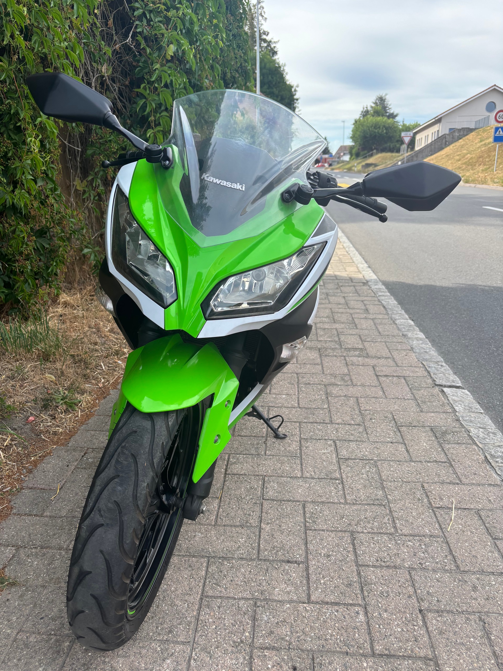 KAWASAKI Ninja 300 ABS-image-2
