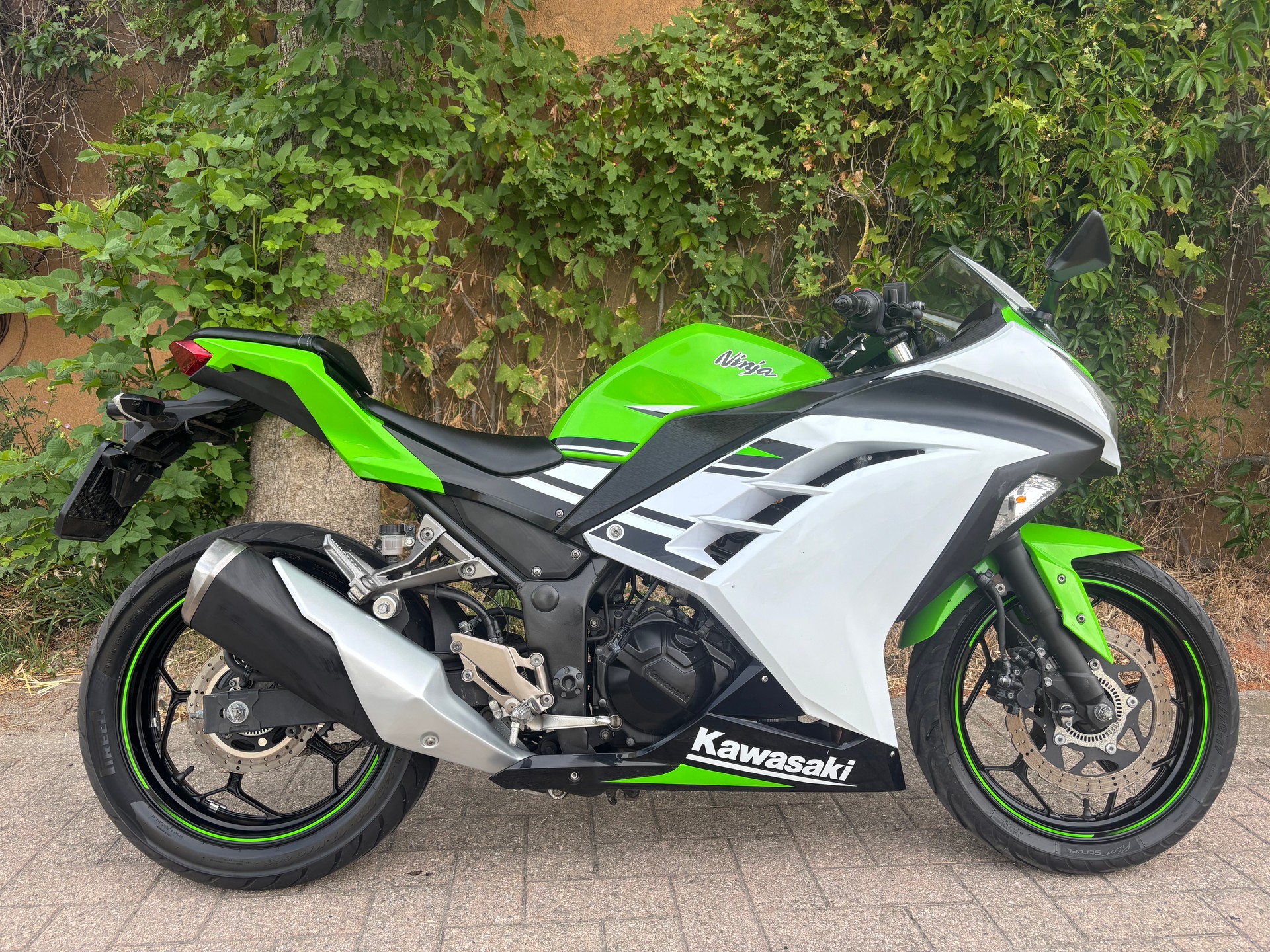 KAWASAKI Ninja 300 ABS-image-5