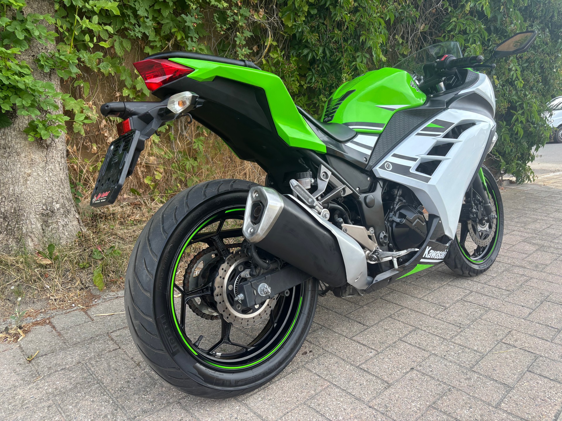 KAWASAKI Ninja 300 ABS-image-6