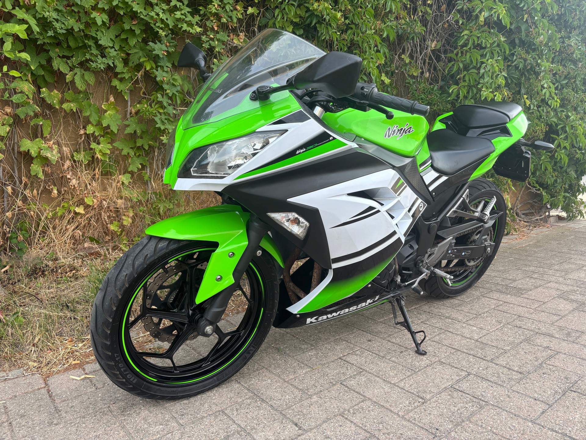 KAWASAKI Ninja 300 ABS-image-1