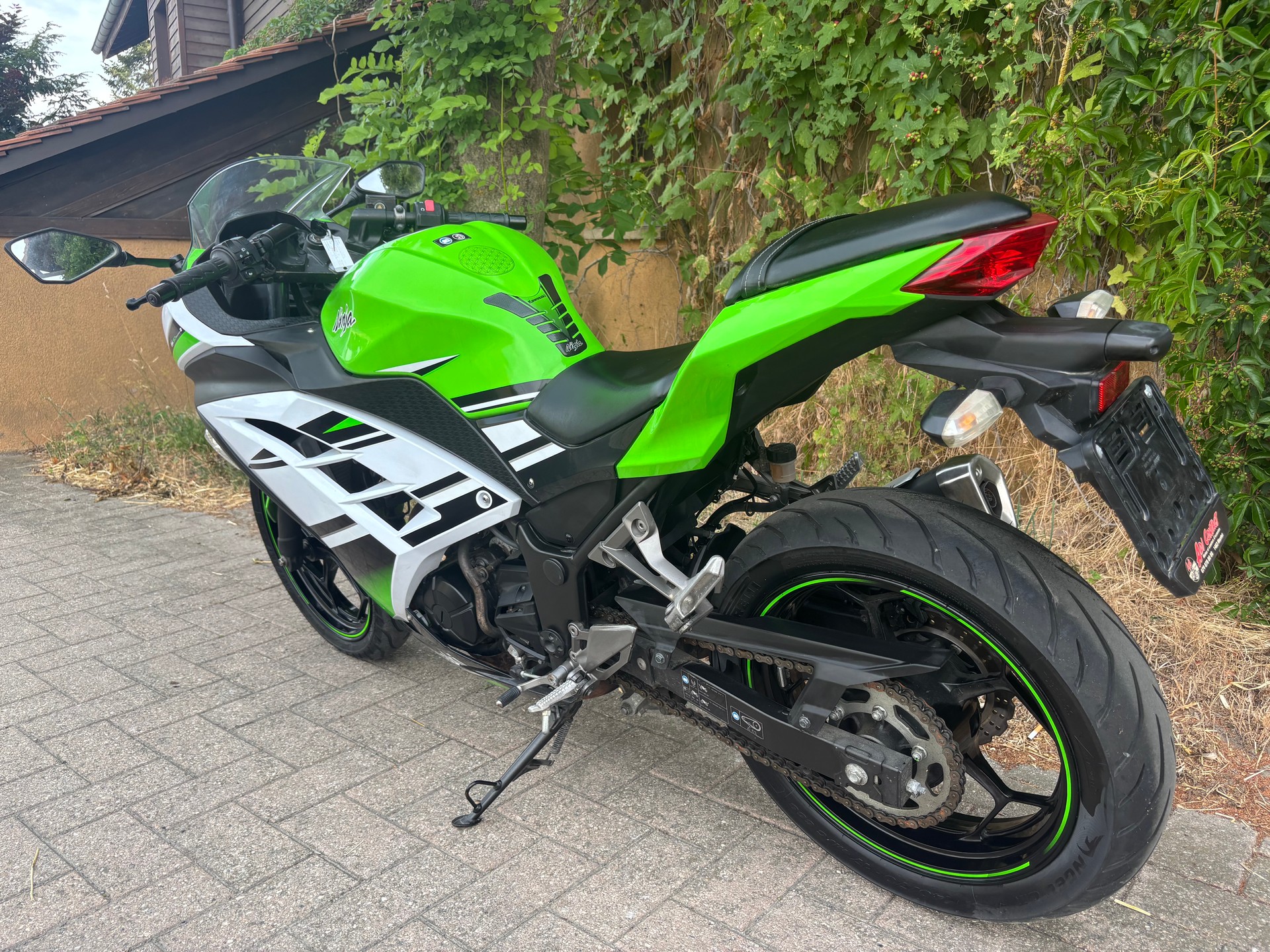 KAWASAKI Ninja 300 ABS-image-9