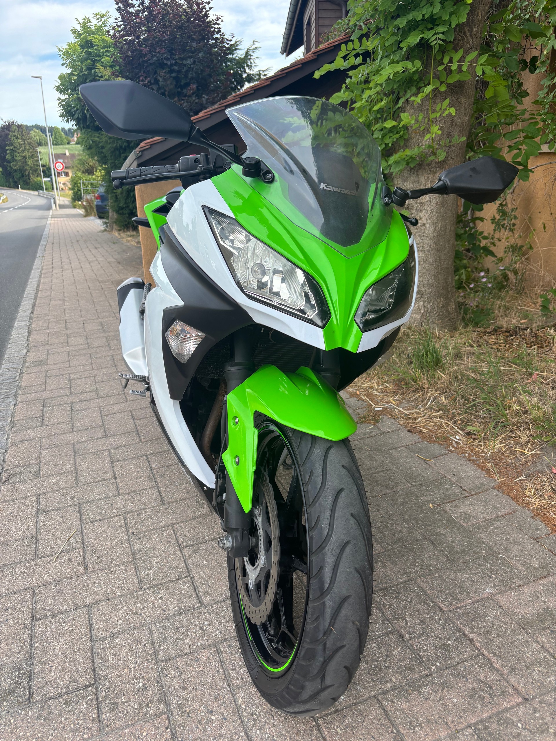 KAWASAKI Ninja 300 ABS-image-3
