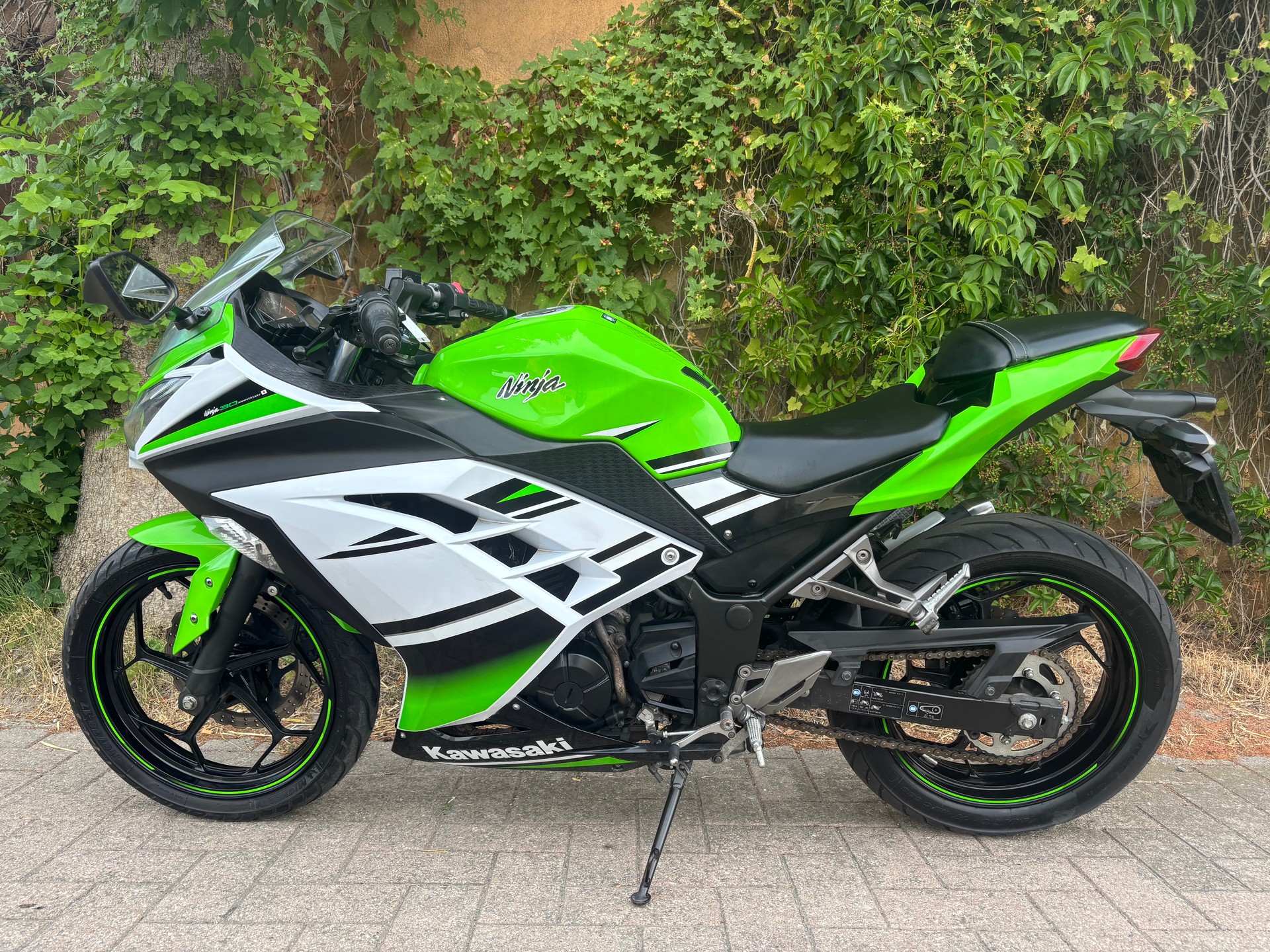 KAWASAKI Ninja 300 ABS-image-0