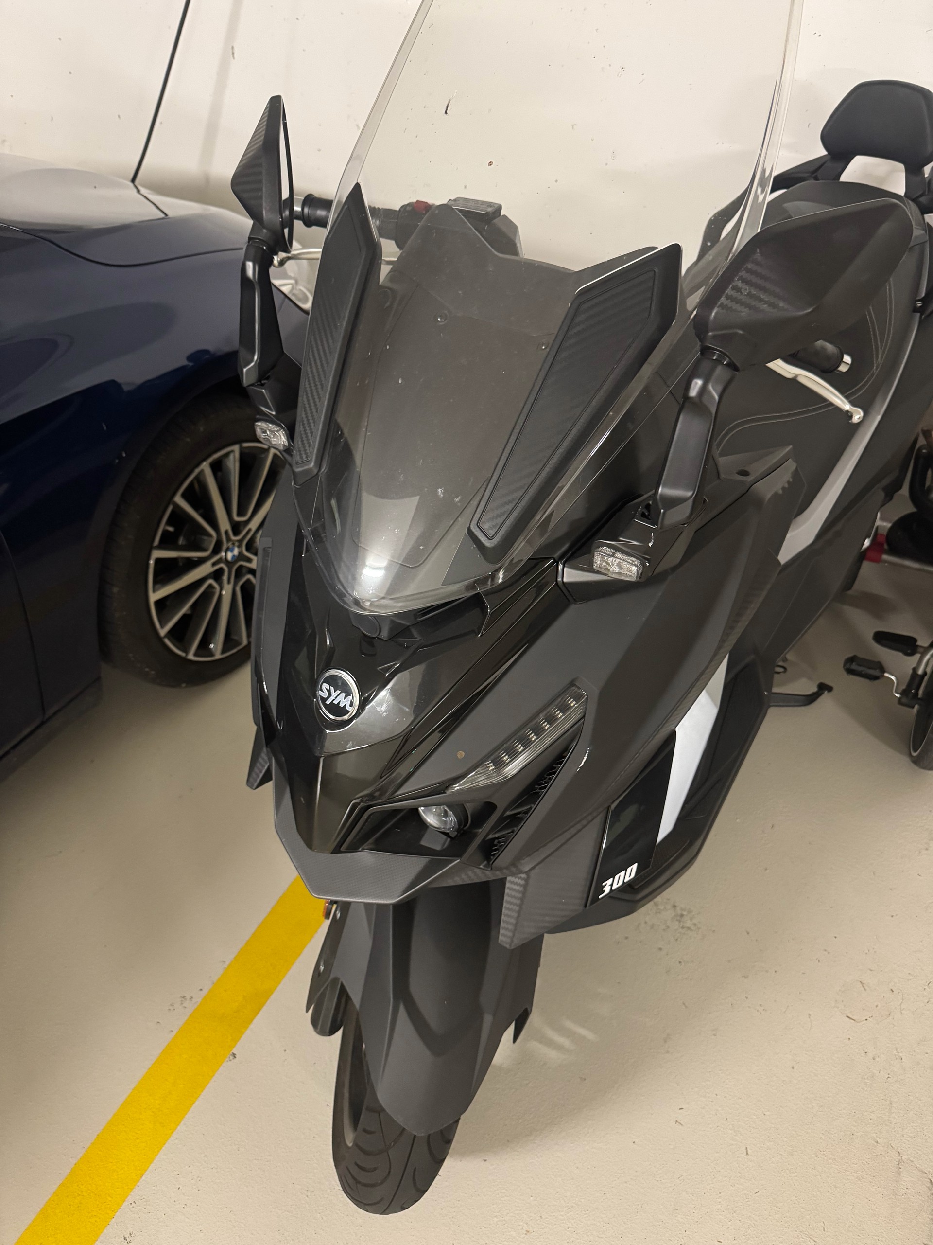 SYM Cruisym 300 i-image-0