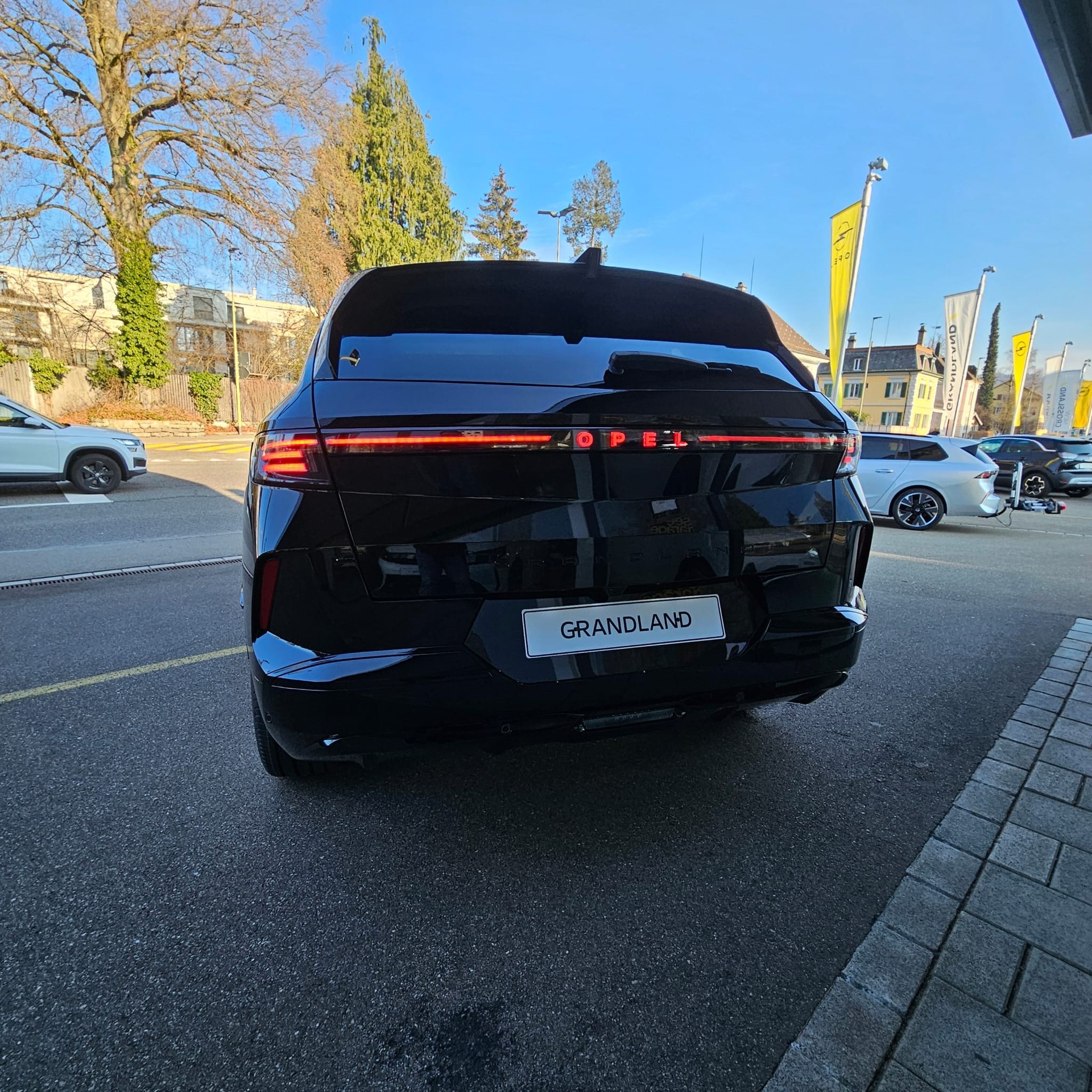 OPEL Grandland El. 73kWh GS-image-20