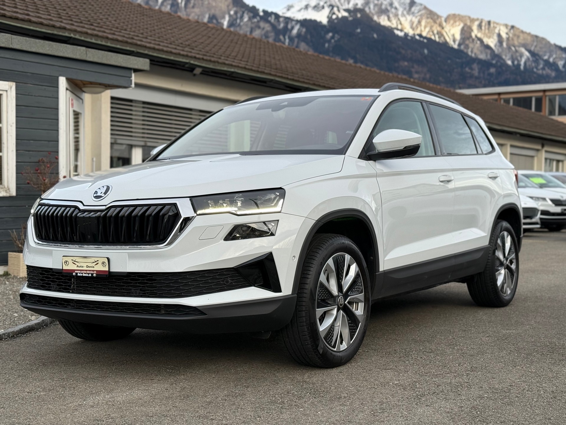 SKODA Karoq 2.0 TDI Style 4x4 DSG-showroom-element-1