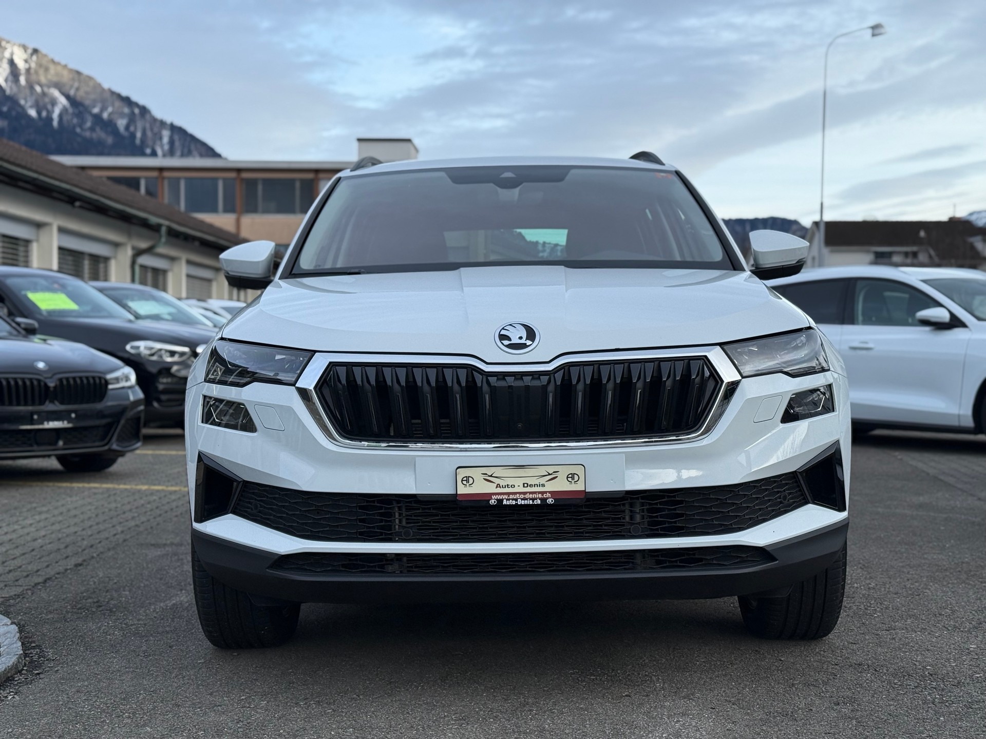 SKODA Karoq 2.0 TDI Style 4x4 DSG-showroom-element-2