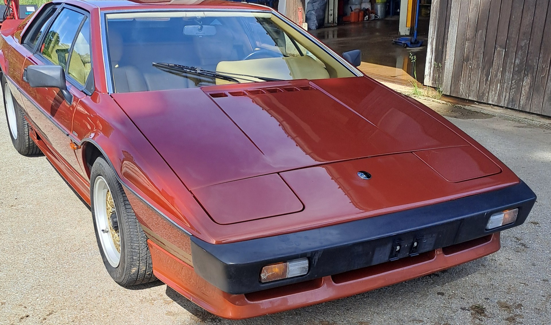 LOTUS ESPRIT-image-2