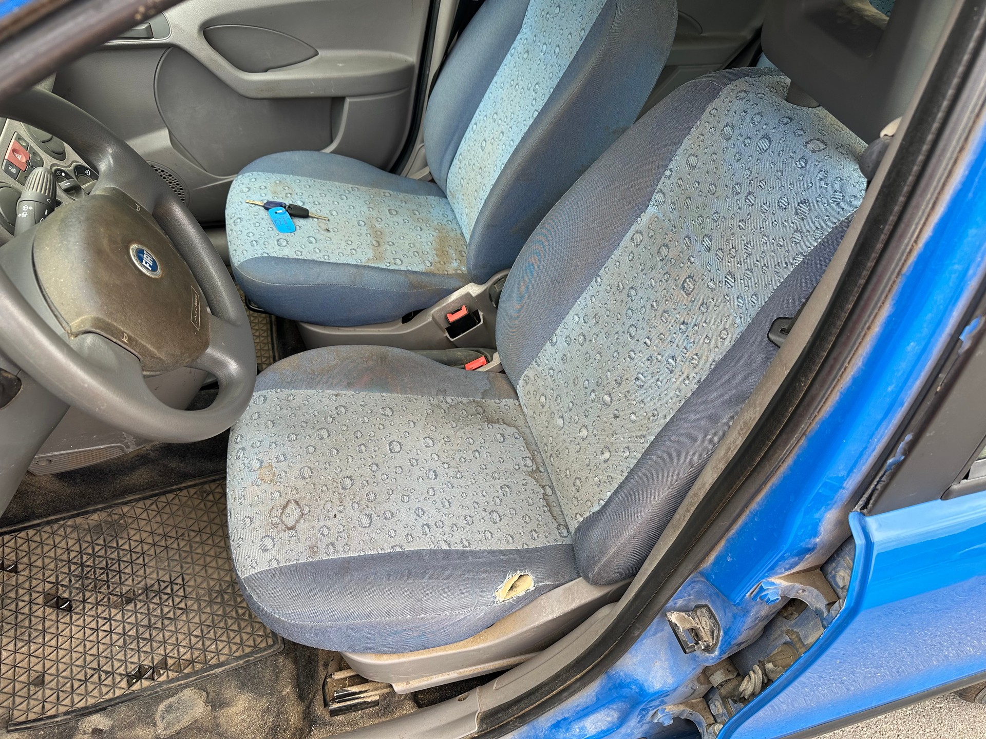 FIAT Panda 1.1 Active FIXPREIS (BETRIEBSFERIEN bis 09.08.26)-image-10