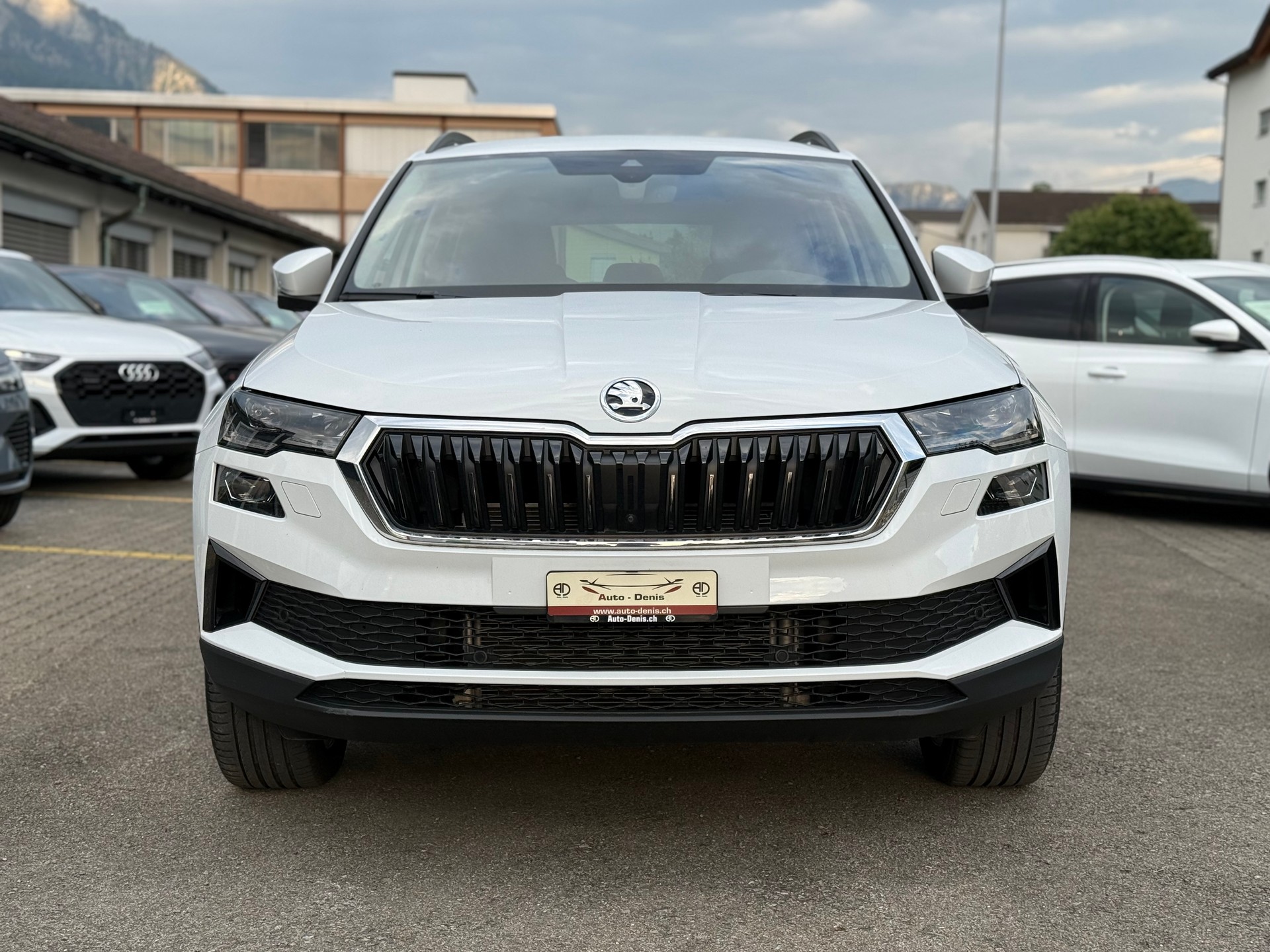 SKODA Karoq 2.0 TDI Style 4x4 DSG-showroom-element-2