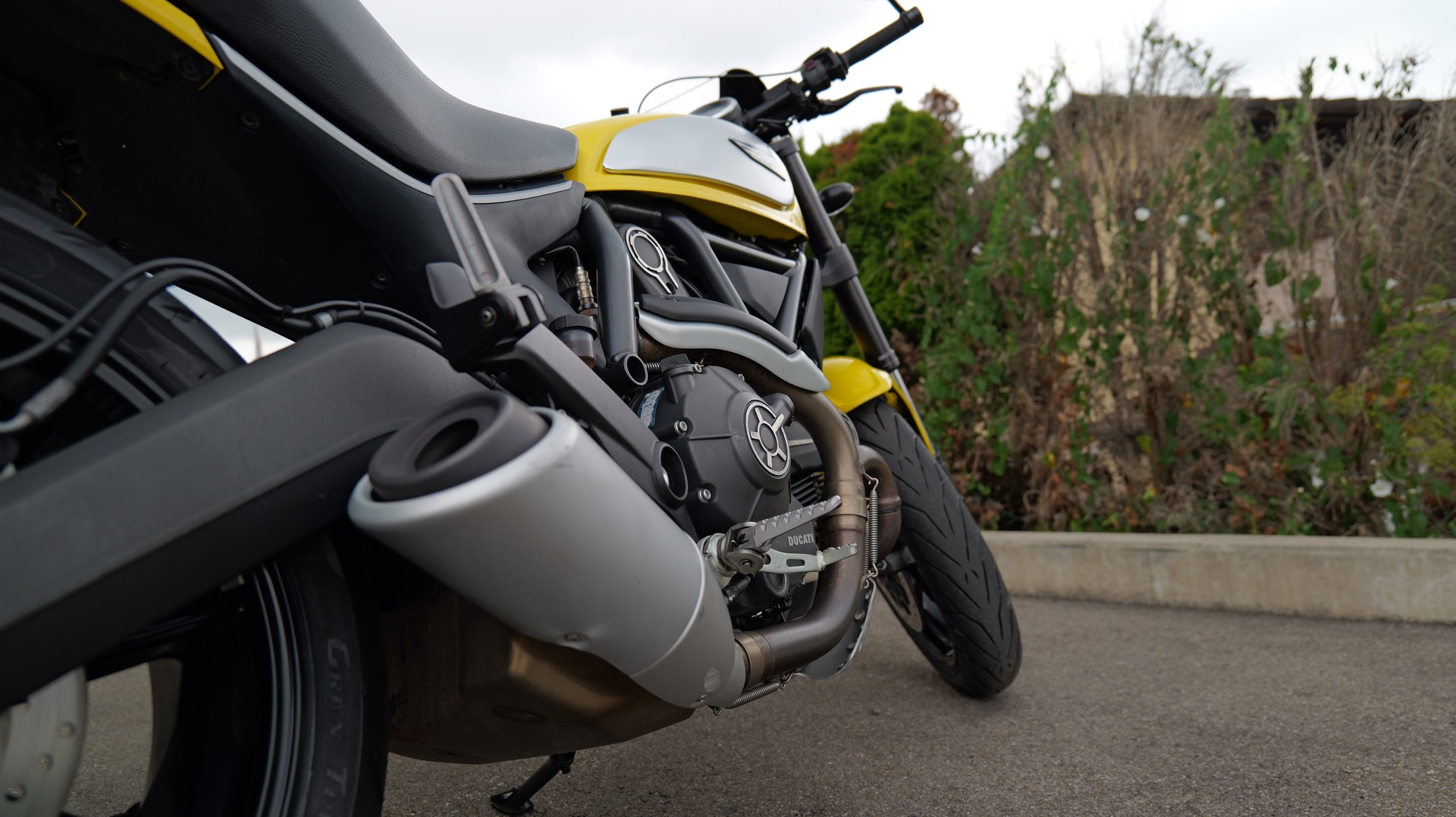 DUCATI Scrambler 803 Icon-image-9