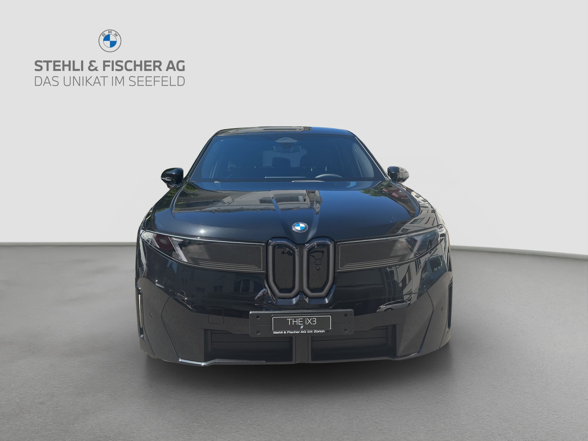BMW iX3 50 xDrive M Sport-showroom-element-2