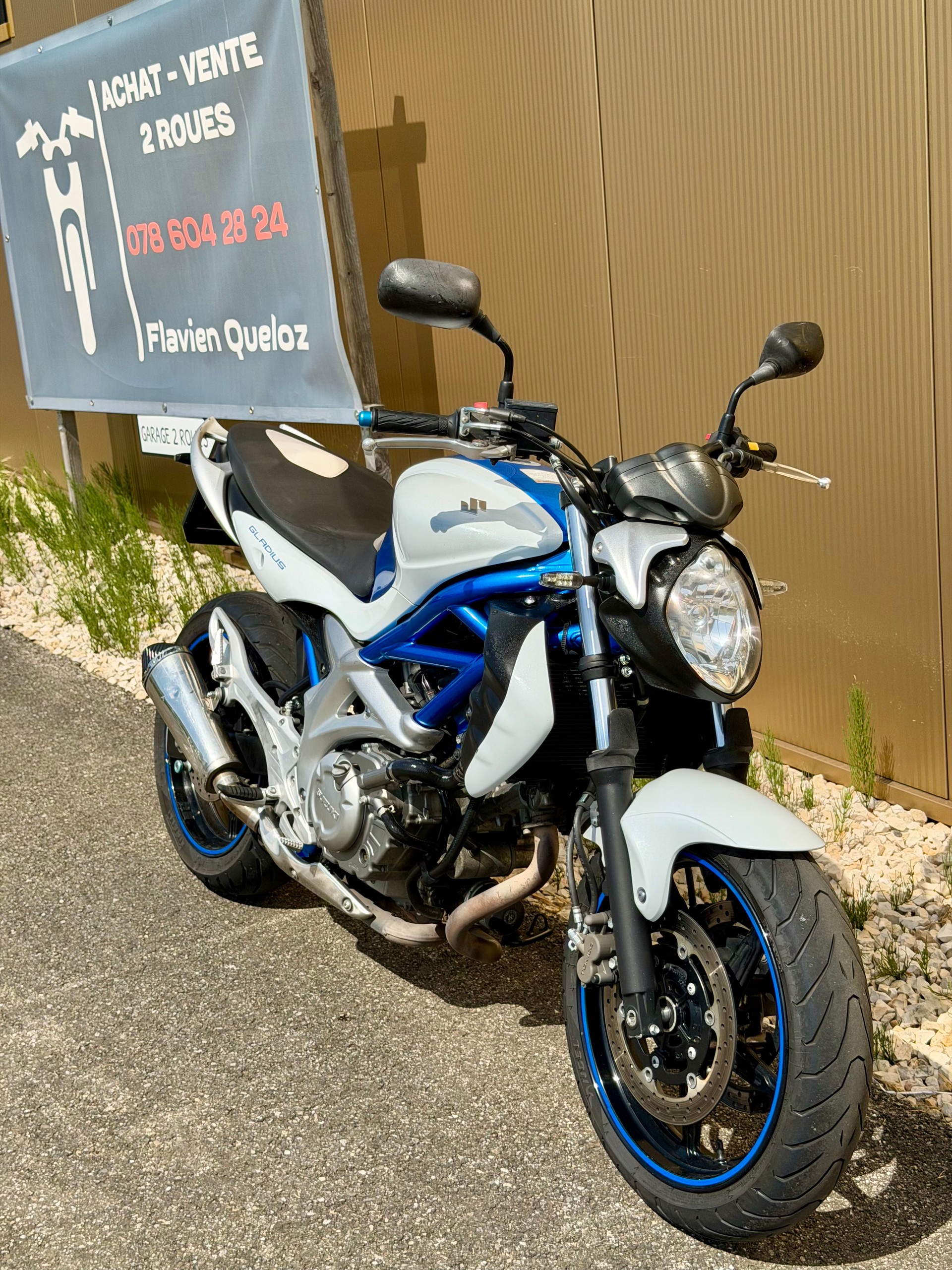 SUZUKI SFV 650 Gladius-image-0