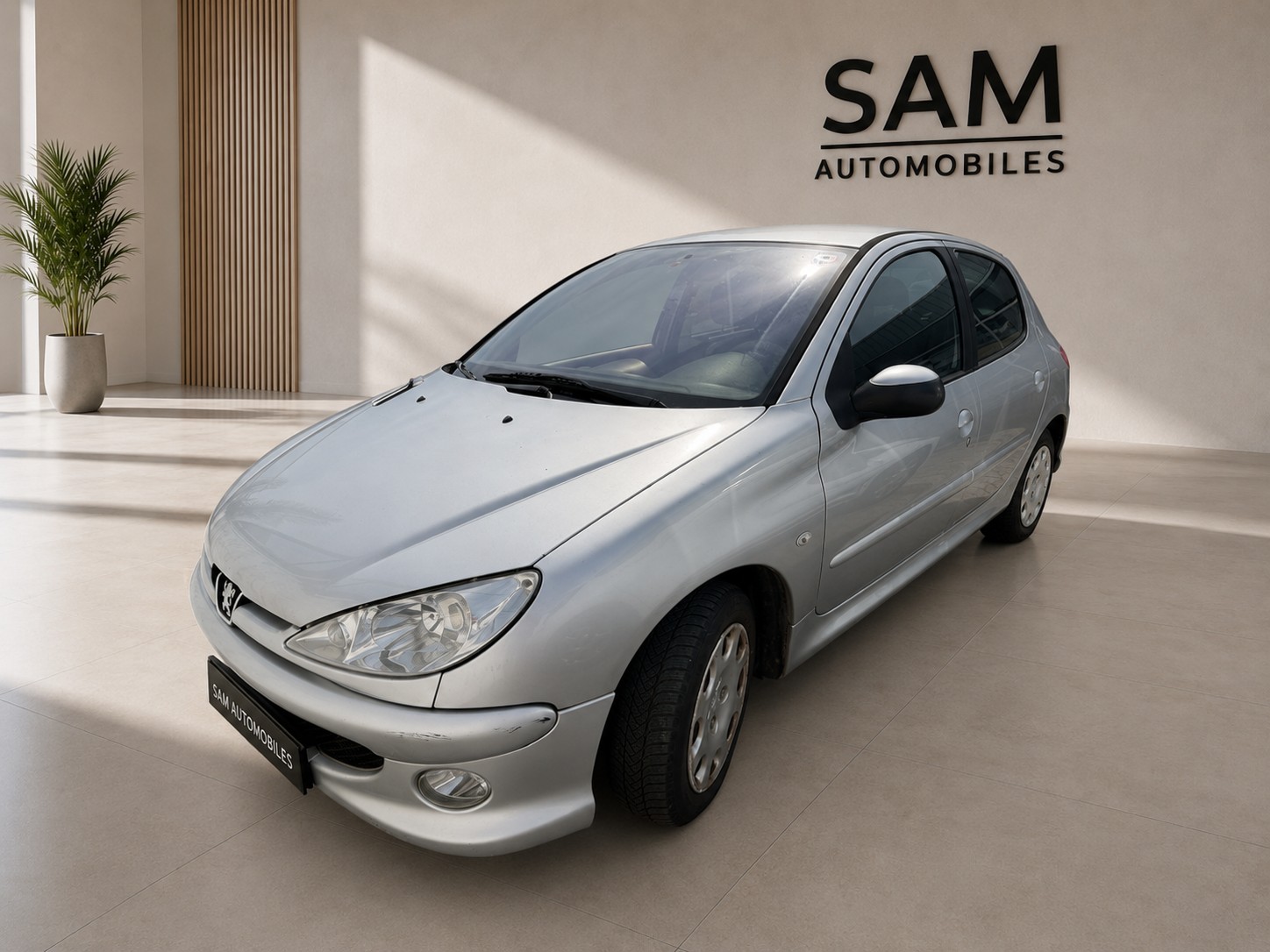PEUGEOT 206 1.4 HDI Look