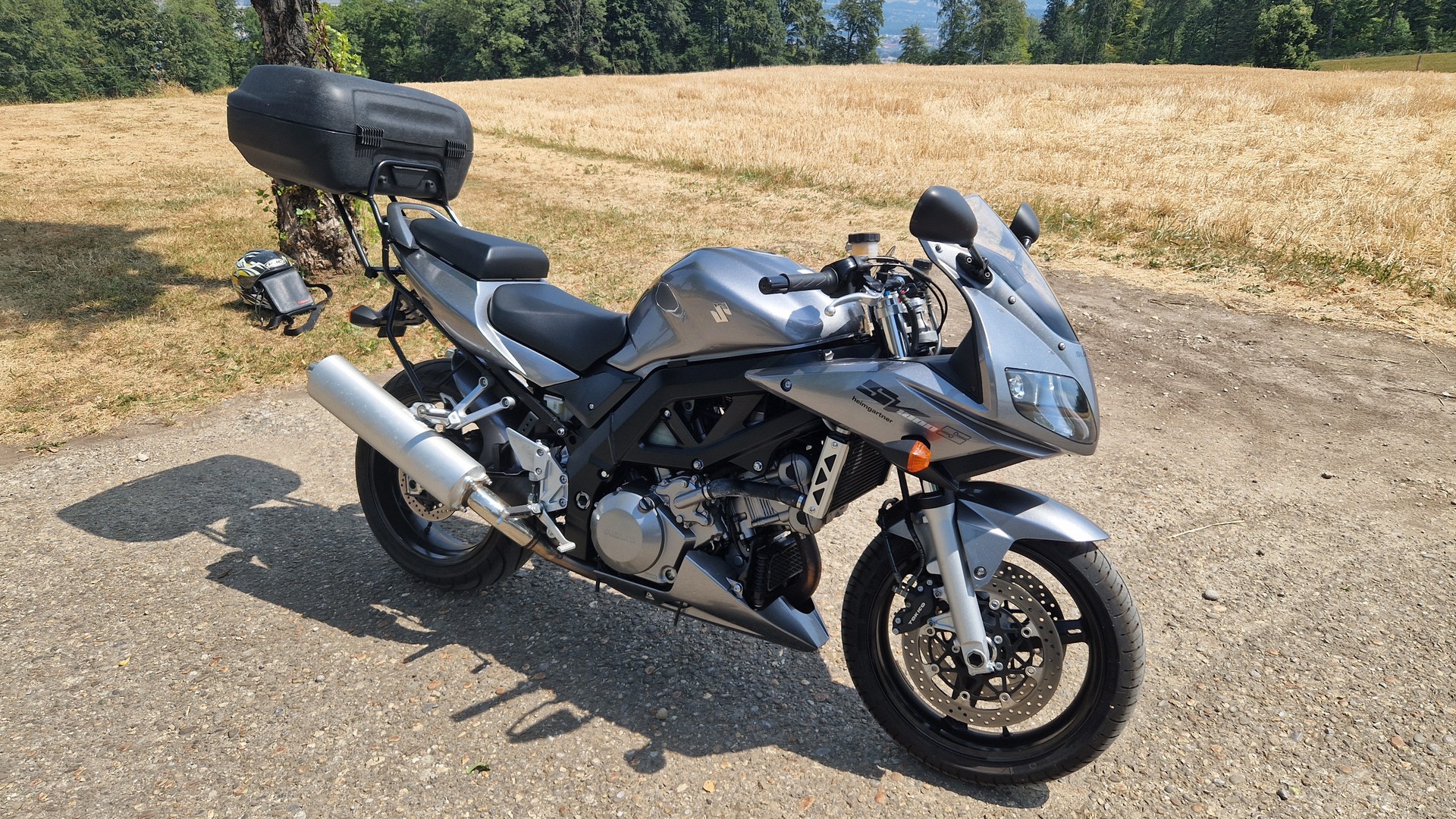 SUZUKI SV 1000 S K6-image-1
