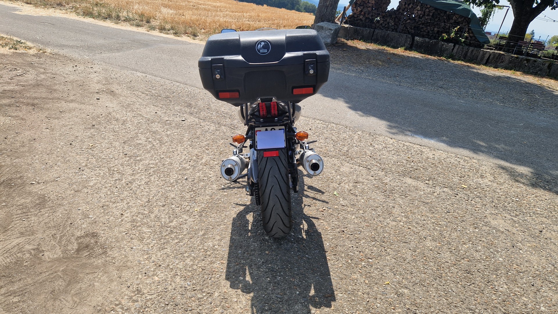 SUZUKI SV 1000 S K6-image-2