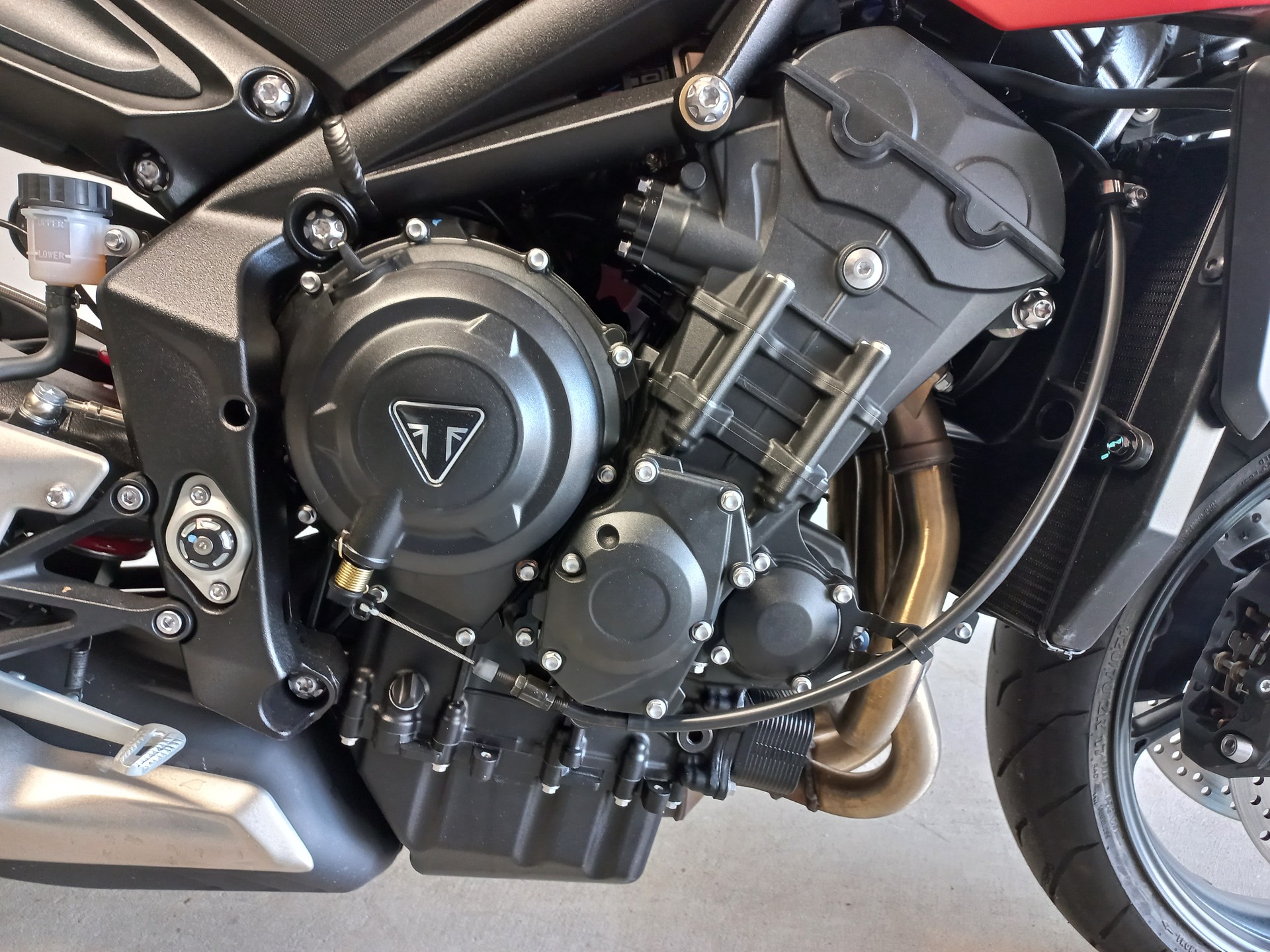 TRIUMPH Street Triple R 765 (A2)-image-5