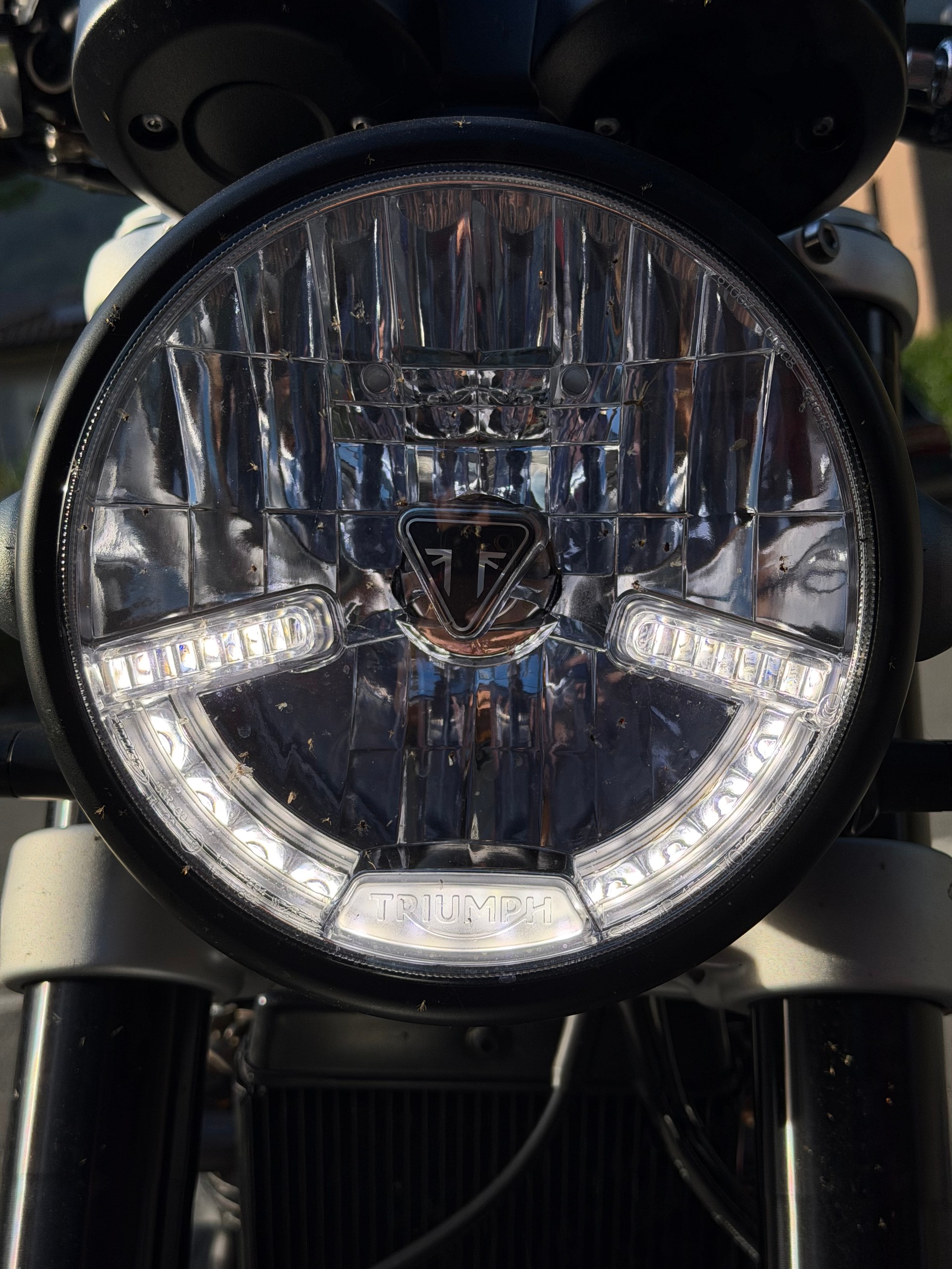TRIUMPH Speed Twin 1200-image-10