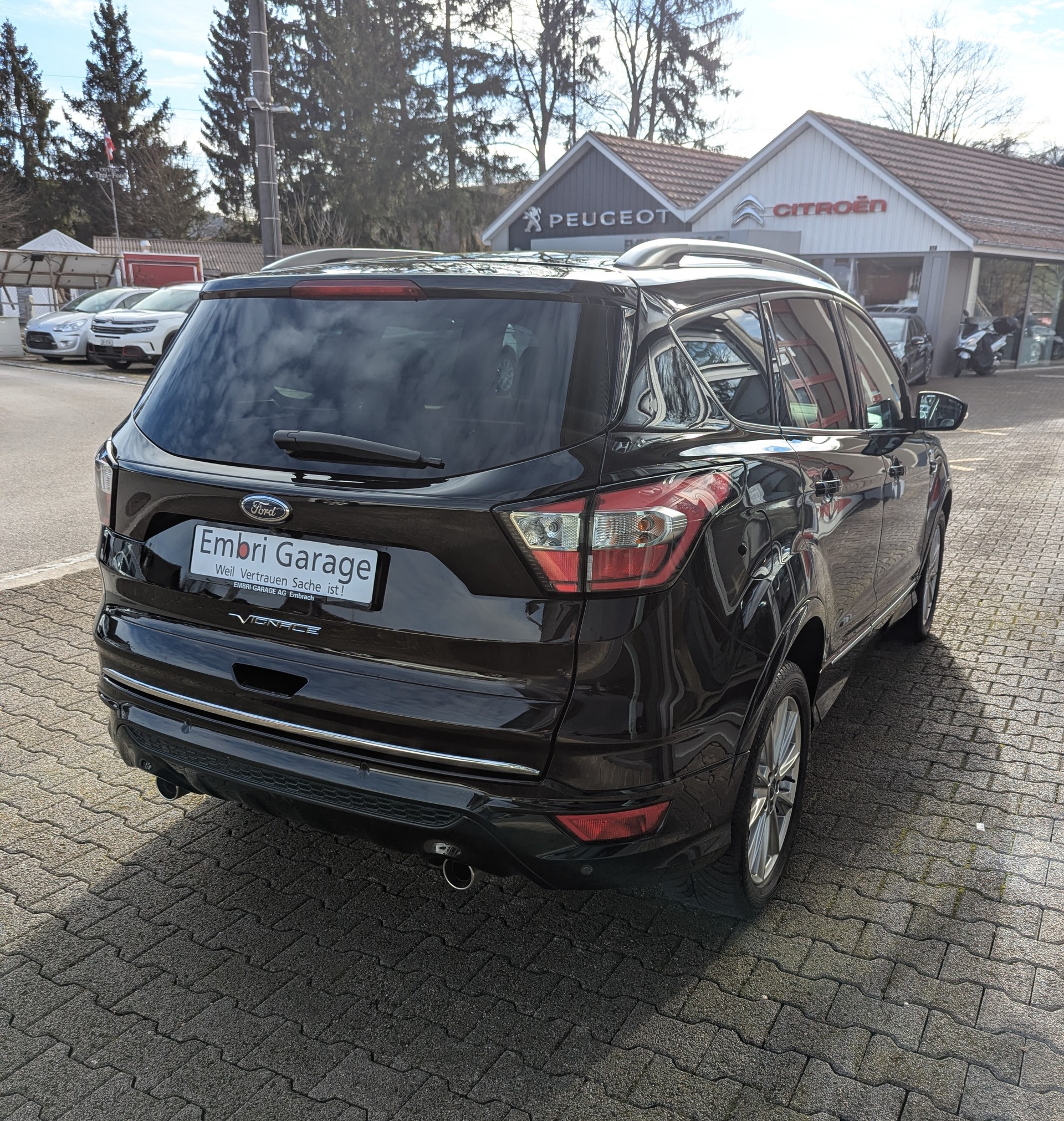 FORD Kuga 2.0 TDCi Vignale 4WD PowerShift-image-6