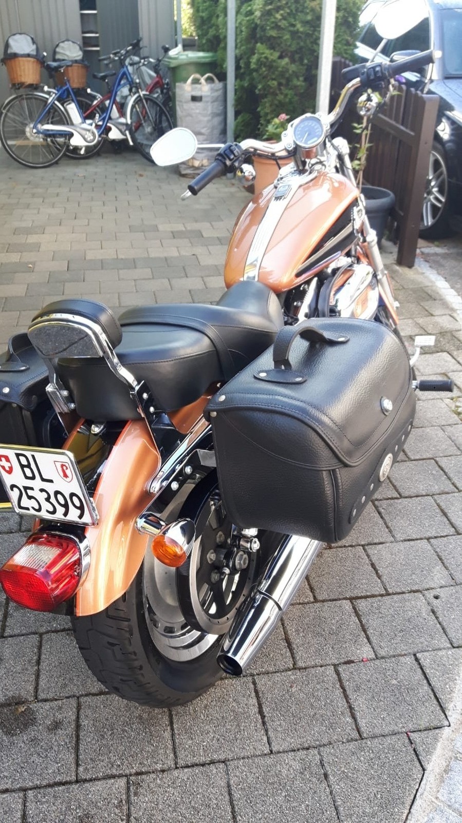 HARLEY-DAVIDSON Xl 1200c sportster costom anniversary-image-3