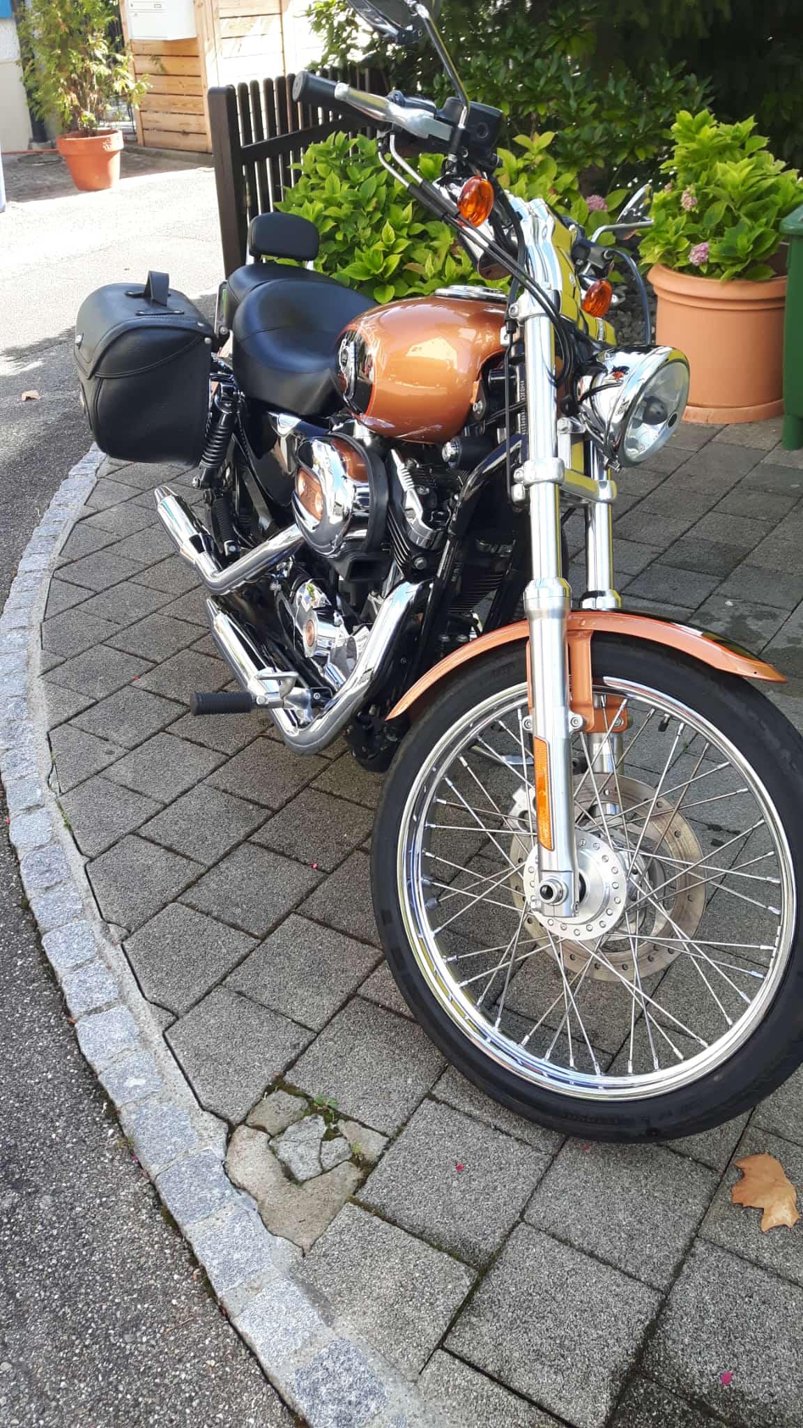 HARLEY-DAVIDSON Xl 1200c sportster costom anniversary-image-1