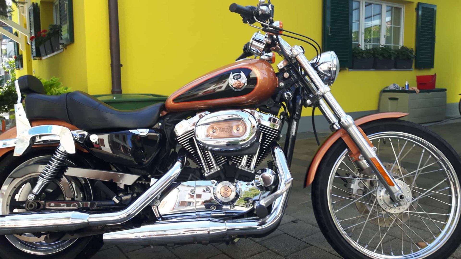 HARLEY-DAVIDSON Xl 1200c sportster costom anniversary-image-2