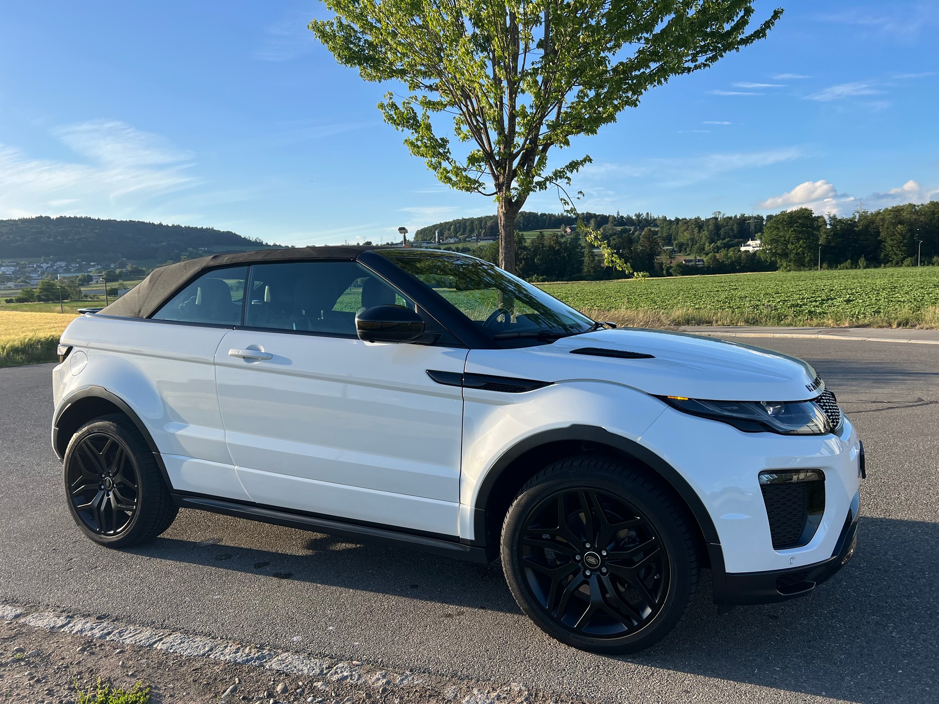 LAND ROVER Range Rover Evoque- 360°-Kamera- Conver. 2.0 TD4 HSE Dynamic AT9-image-12