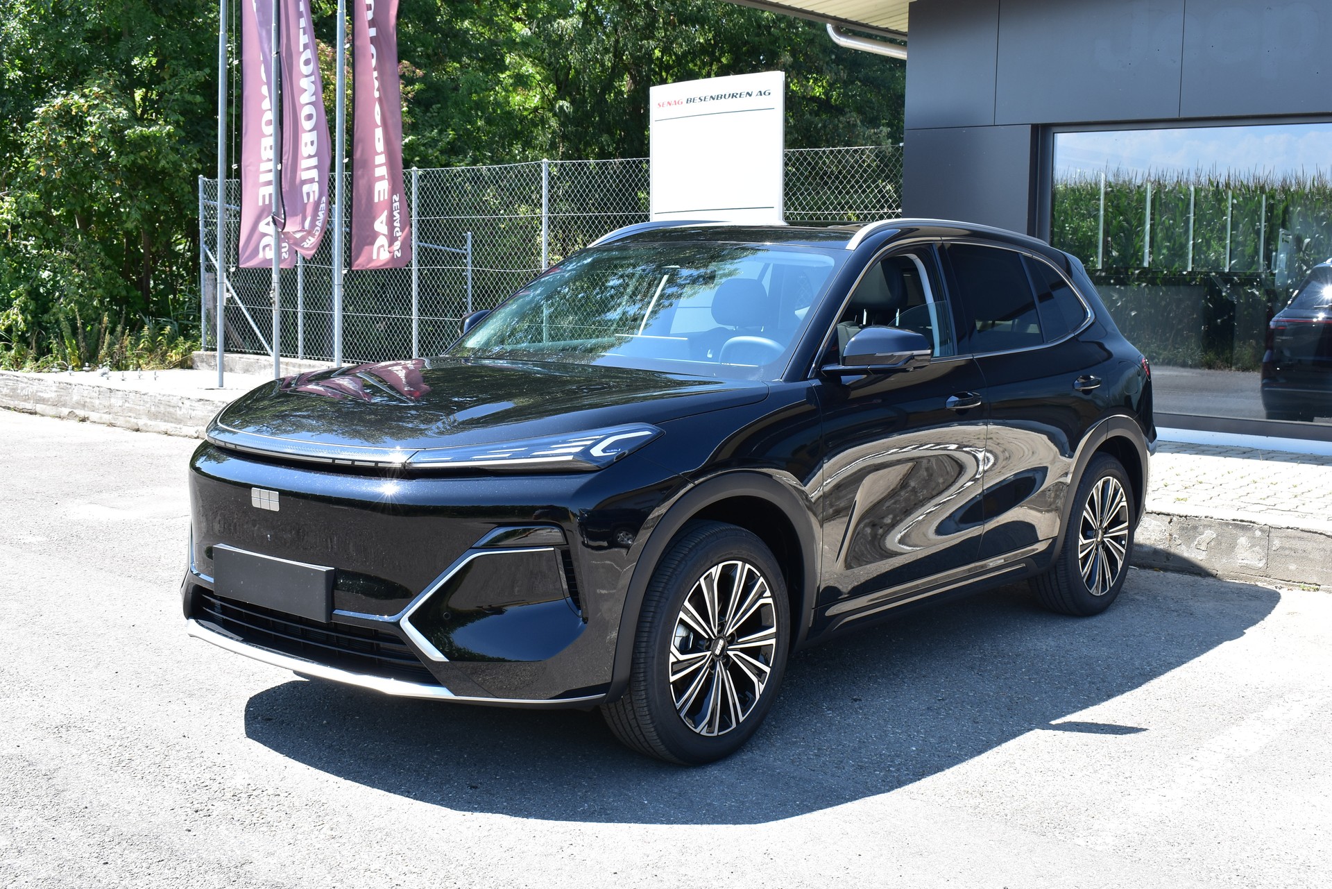 GEELY Starray EM-i Max+ PHEV-image-2