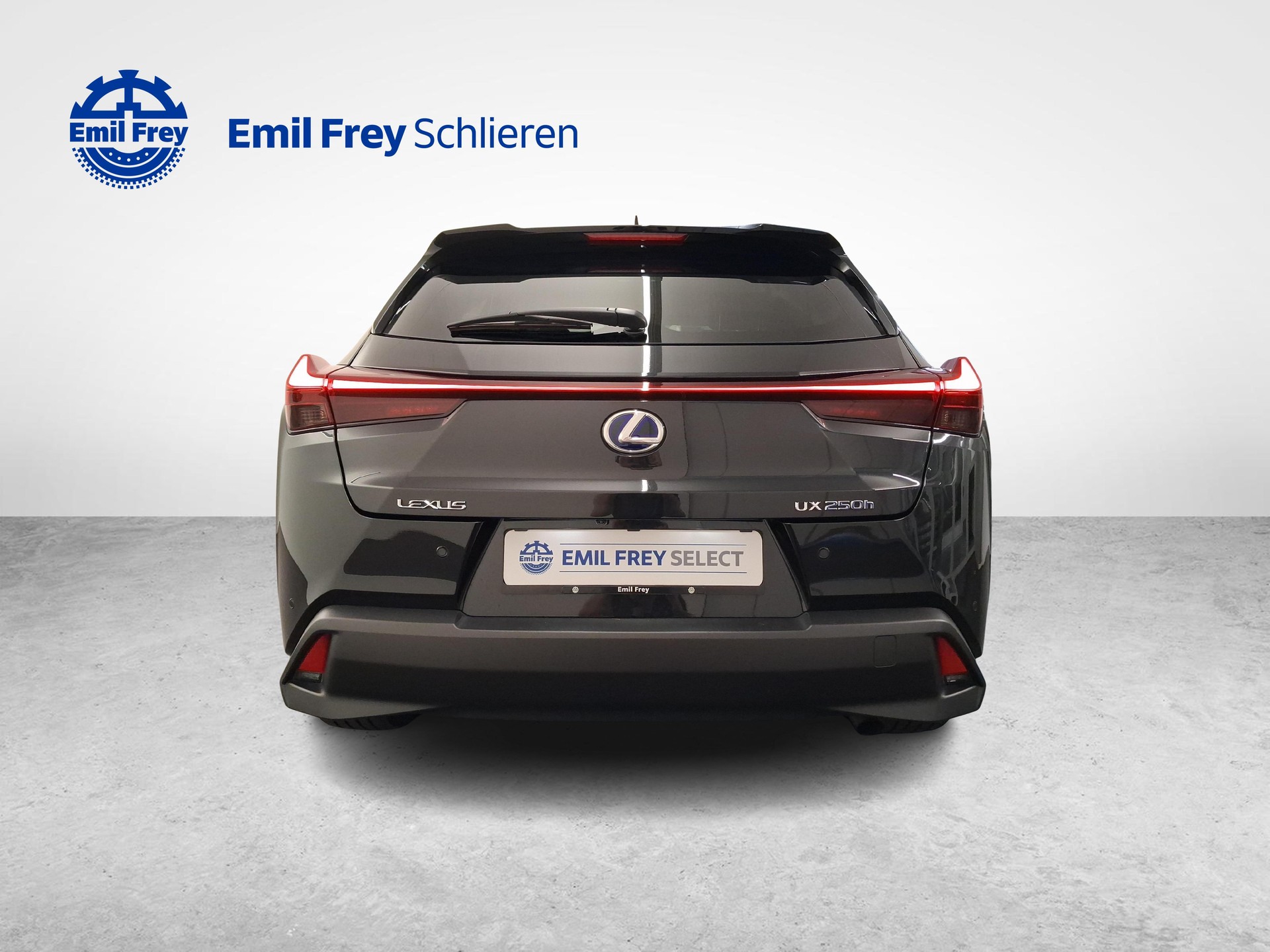 LEXUS UX 250h Excellence-showroom-element-3
