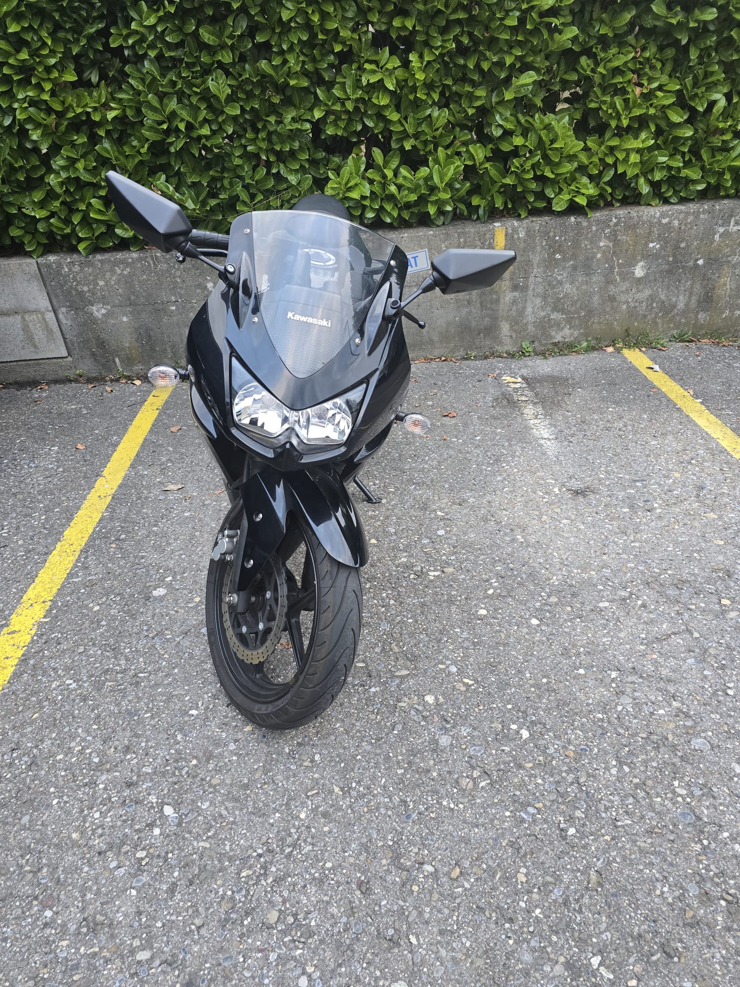 KAWASAKI Ninja 250 R-image-1