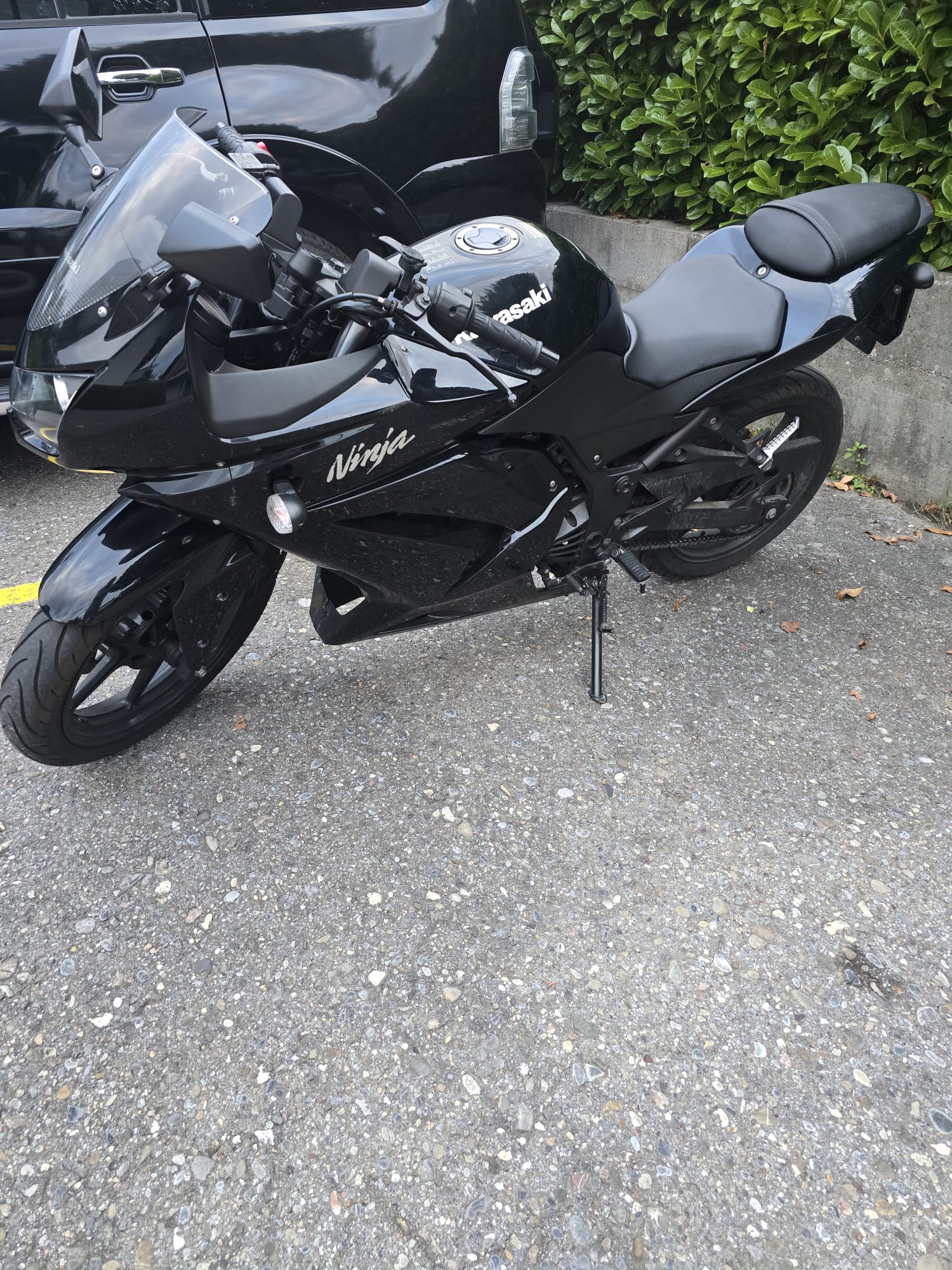 KAWASAKI Ninja 250 R-image-2