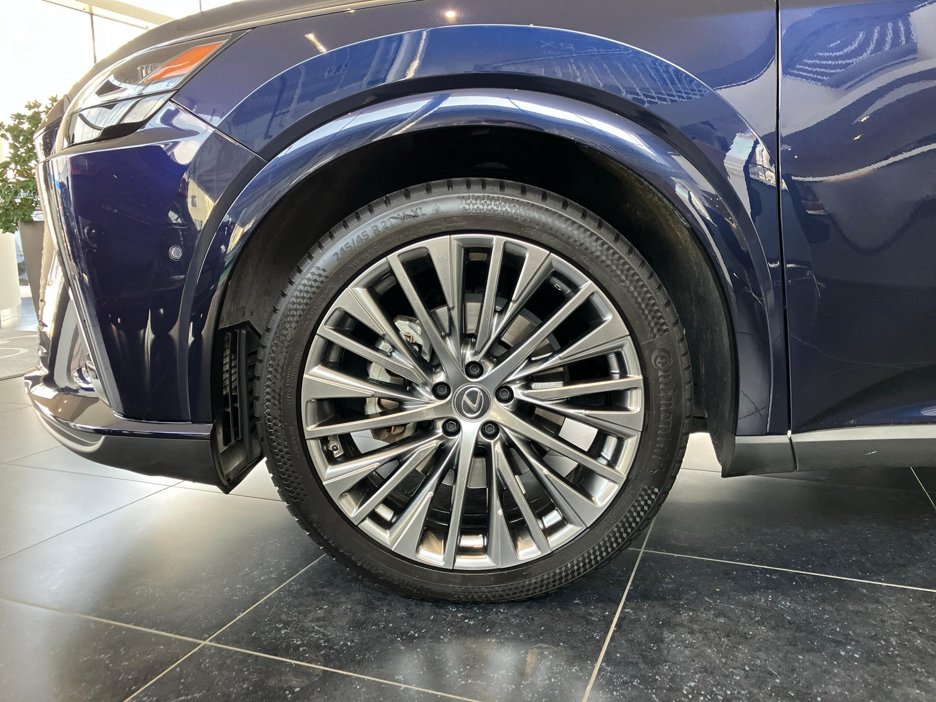 LEXUS RX 450h+ Excellence-image-15