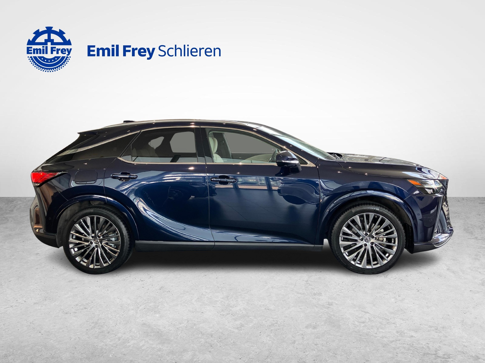 LEXUS RX 450h+ Excellence-image-5