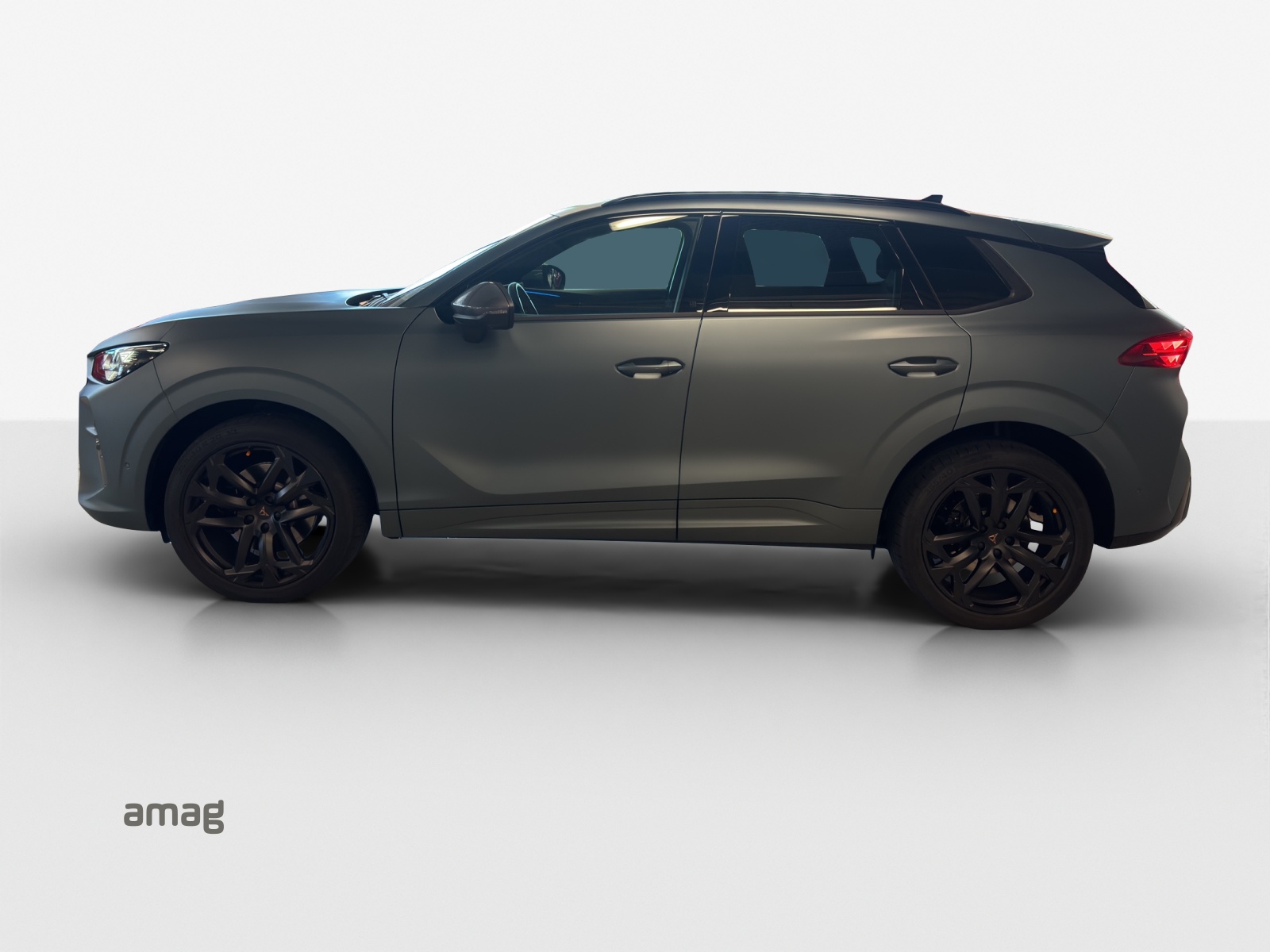 CUPRA Terramar 2.0 TSI DSG 4Drive Americas CUP-showroom-element-1