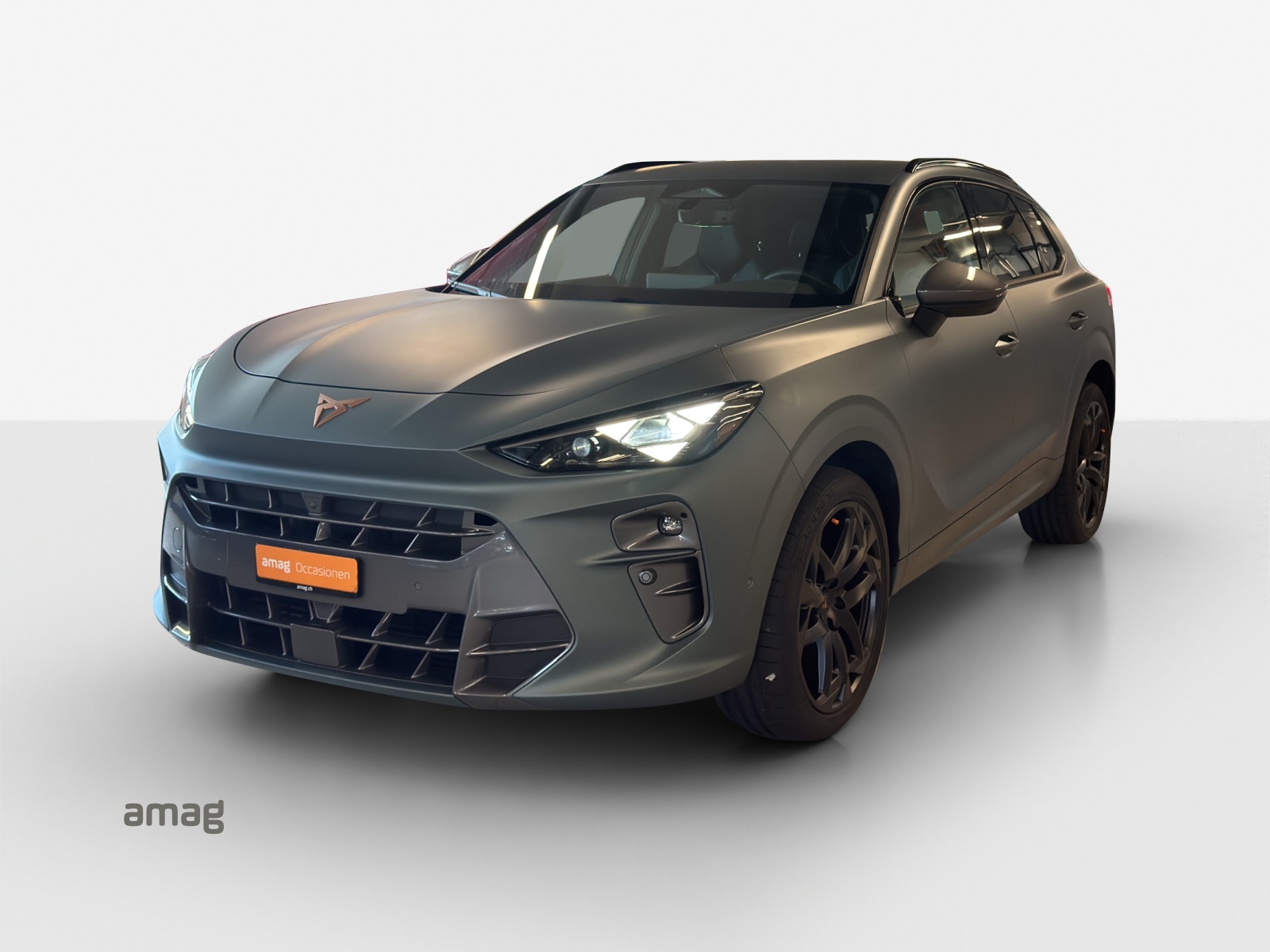 CUPRA Terramar 2.0 TSI DSG 4Drive Americas CUP