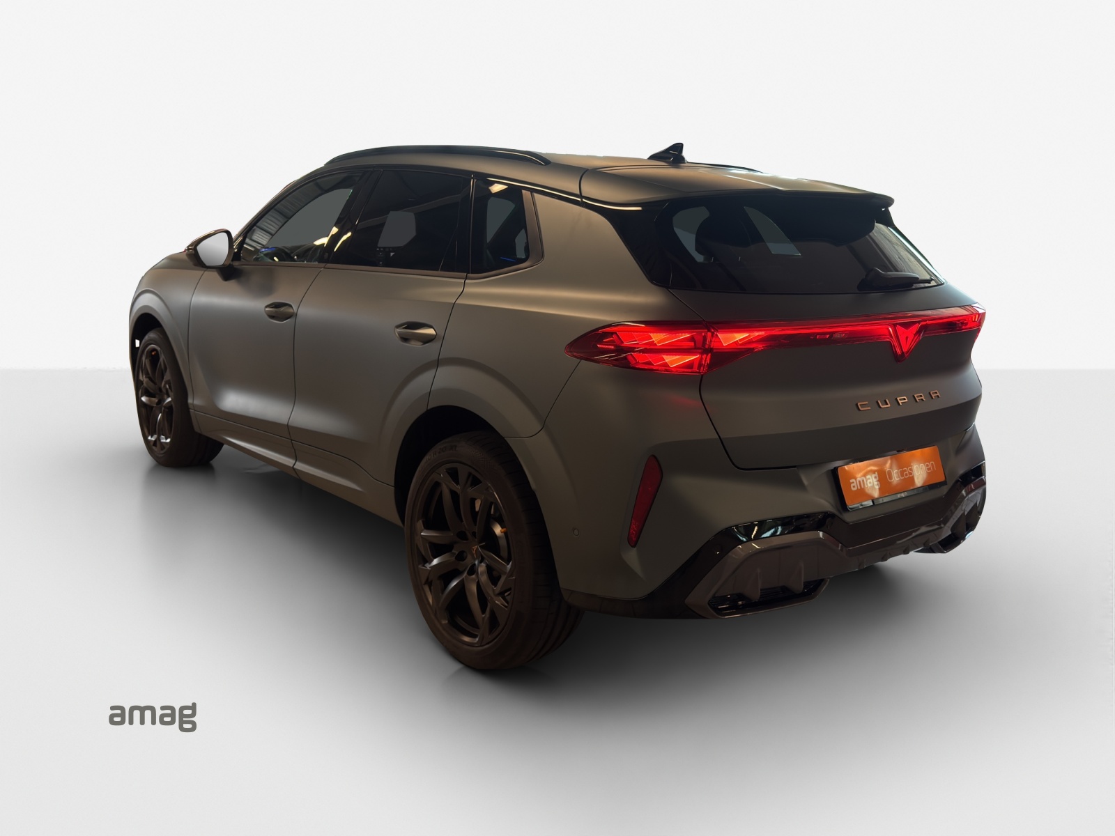 CUPRA Terramar 2.0 TSI DSG 4Drive Americas CUP-showroom-element-2