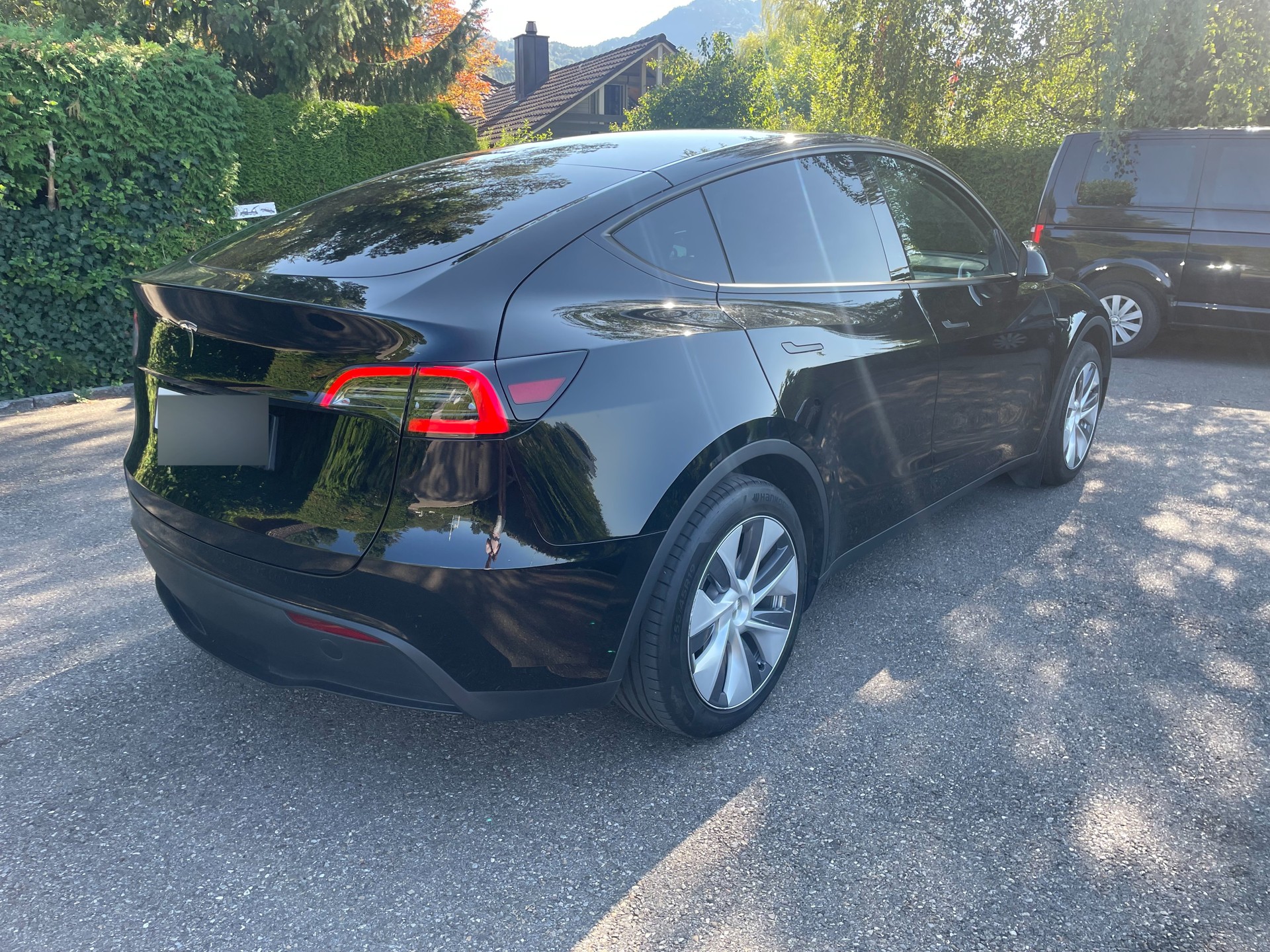TESLA Basis-image-2