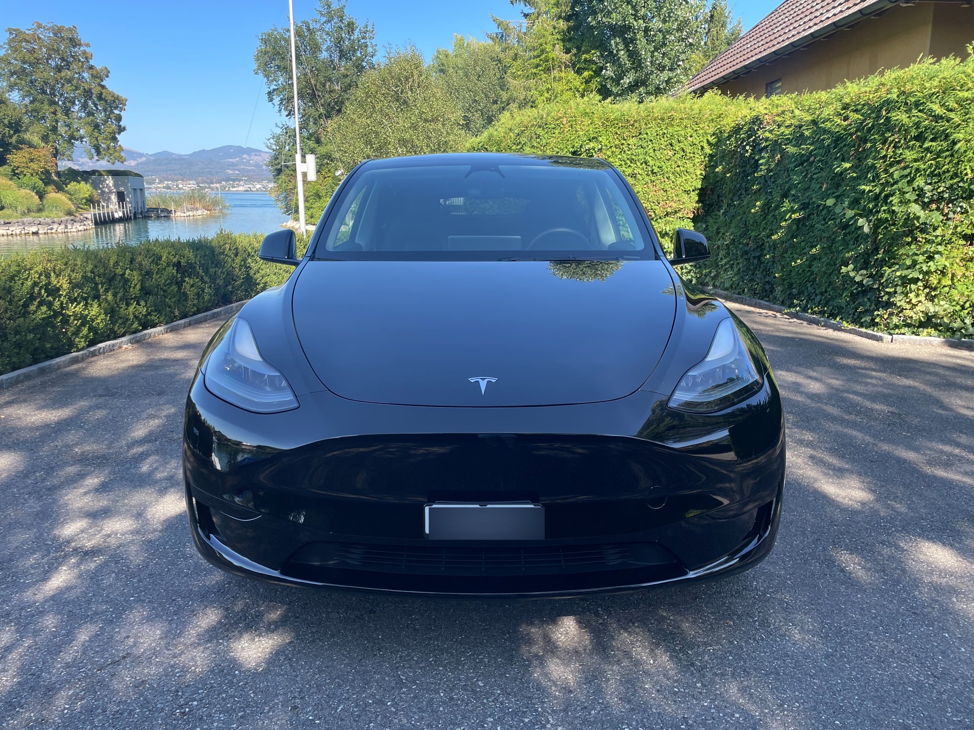TESLA Basis-image-1