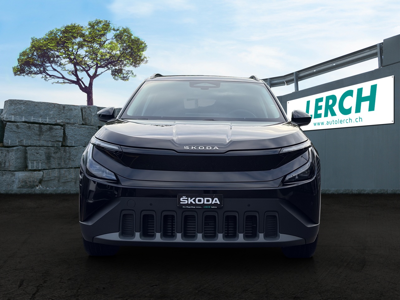 SKODA Epiq 55 Selection-showroom-element-1