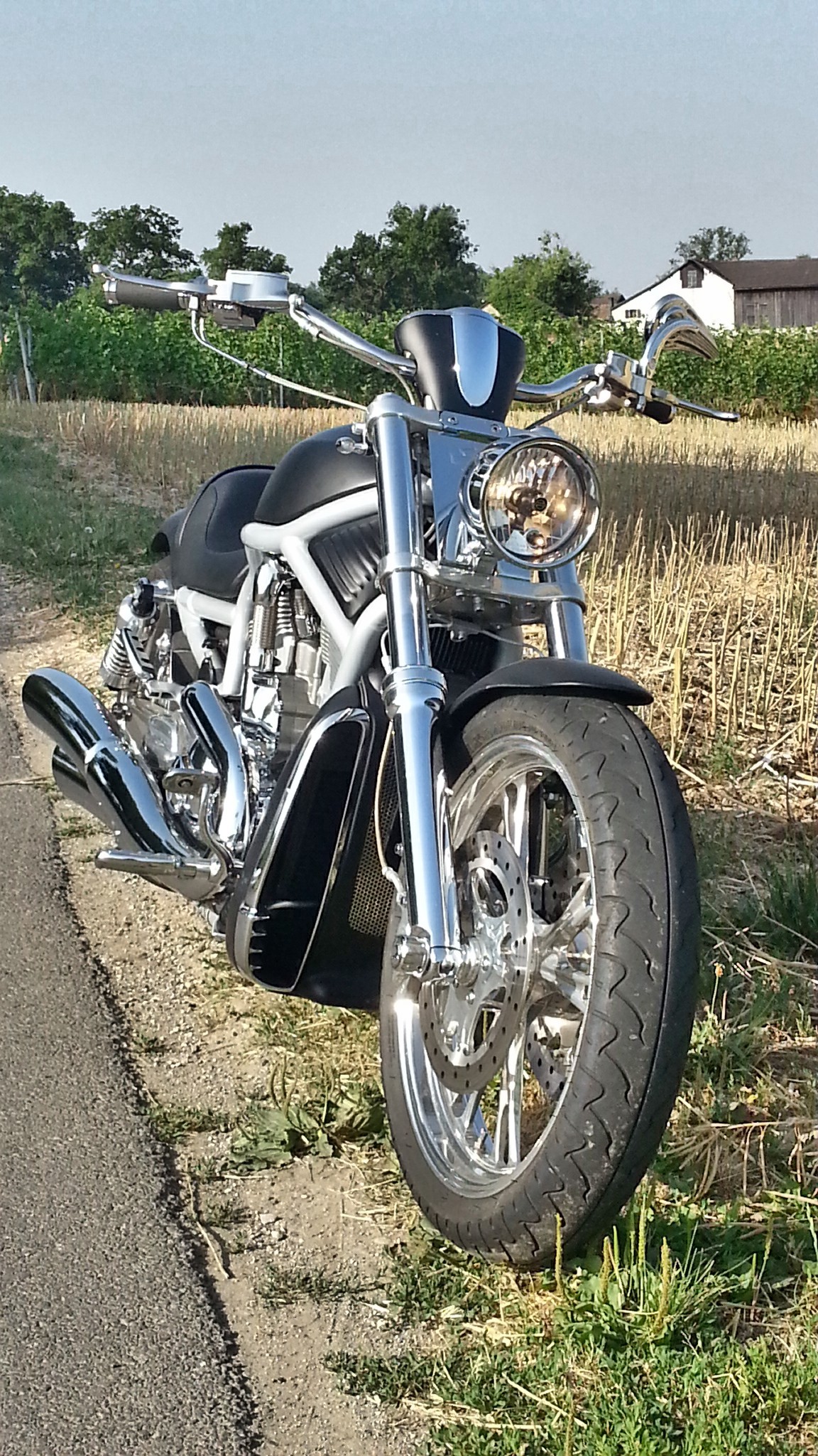 HARLEY-DAVIDSON VRSCA V-Rod 1200 expertisée & homologuée-image-1