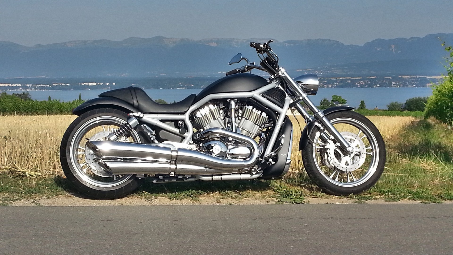 HARLEY-DAVIDSON VRSCA V-Rod 1200 expertisée & homologuée
