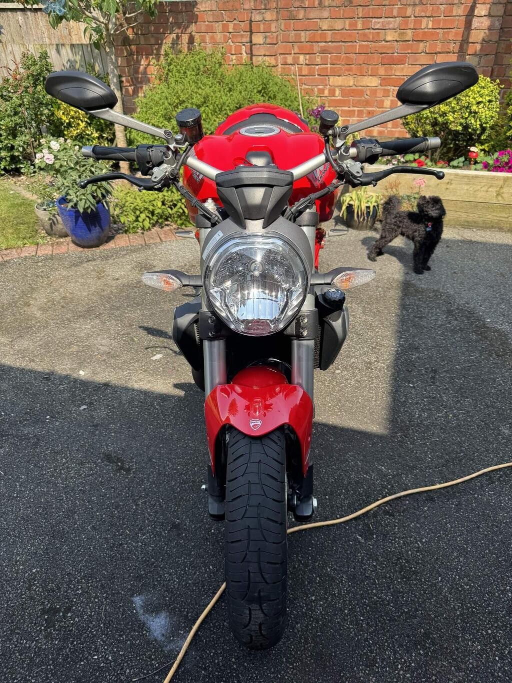 DUCATI Monster 1200 ABS-image-2