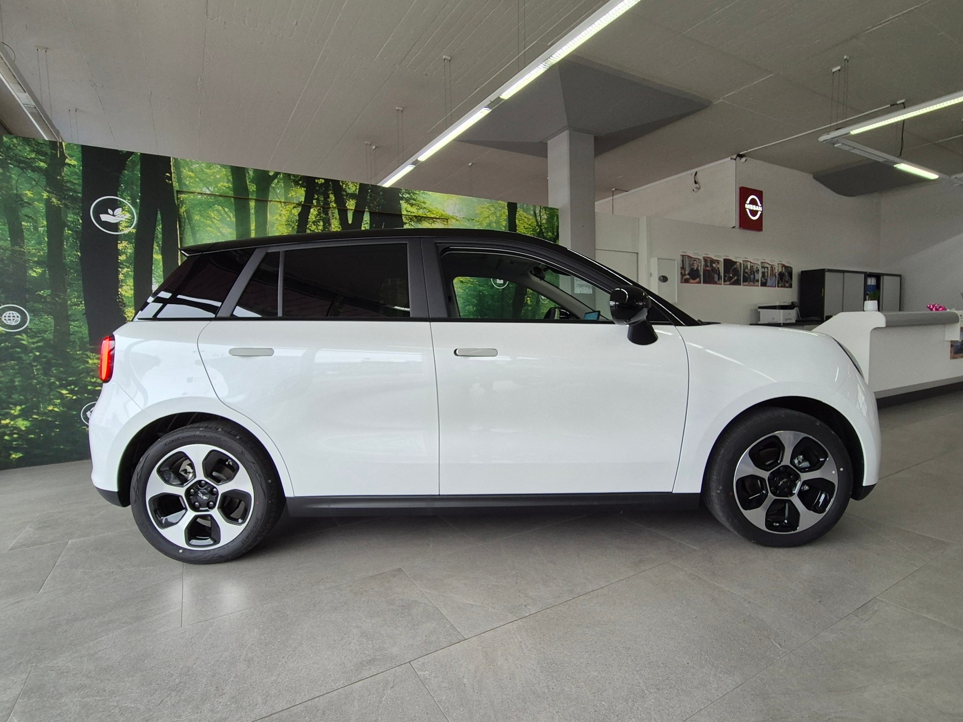 JAC E30X 374 km