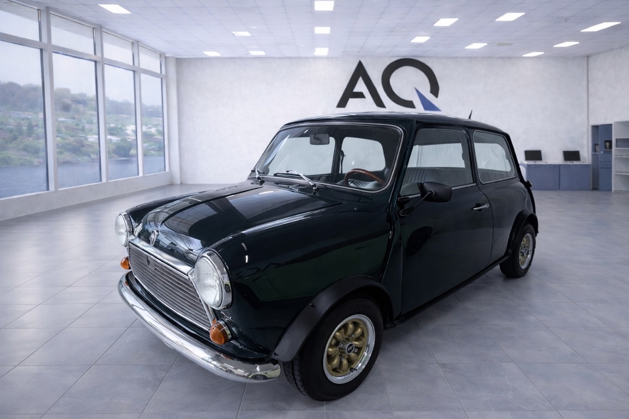 MINI 1000