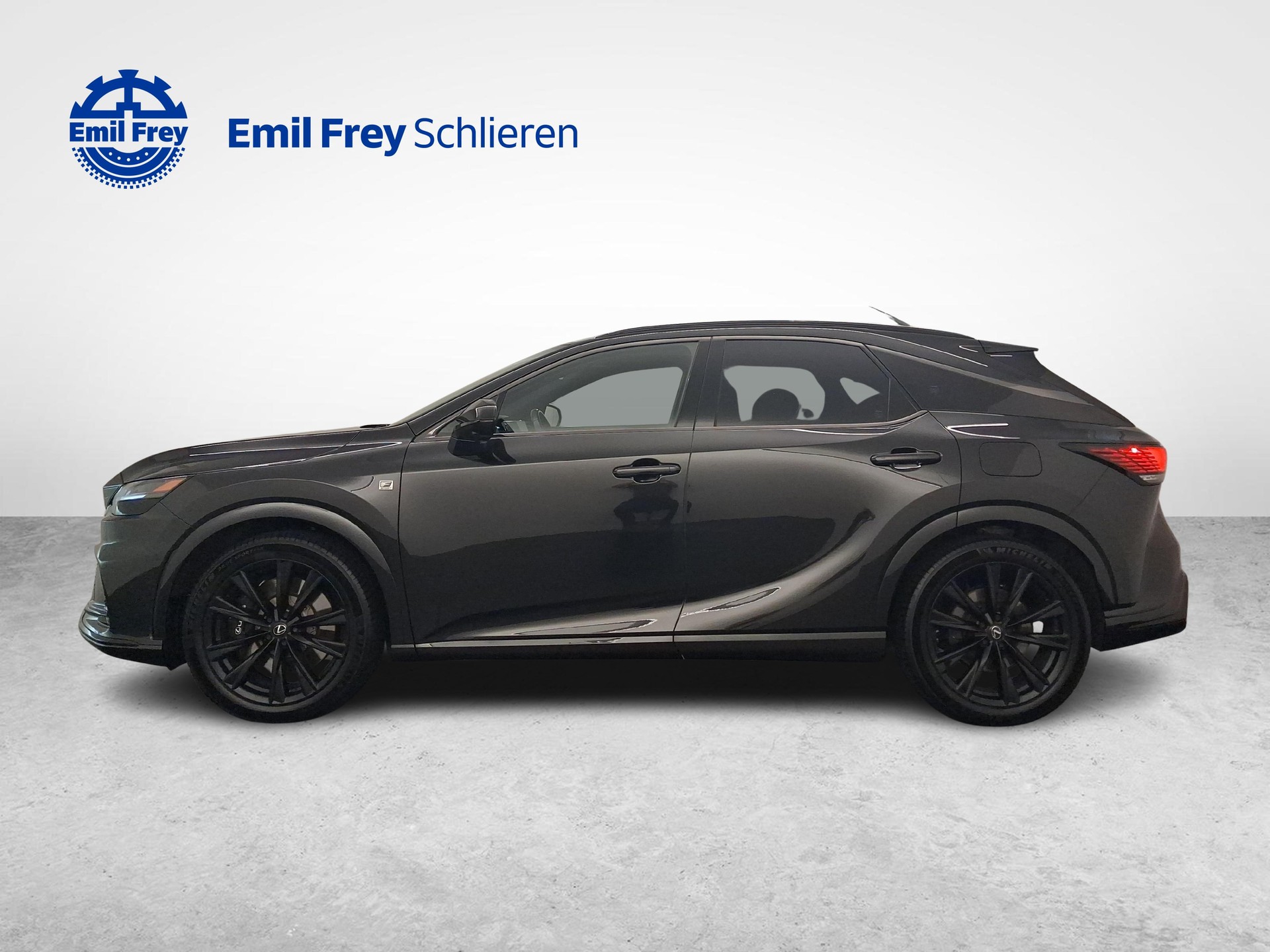 LEXUS RX 500h F-Sport-showroom-element-1